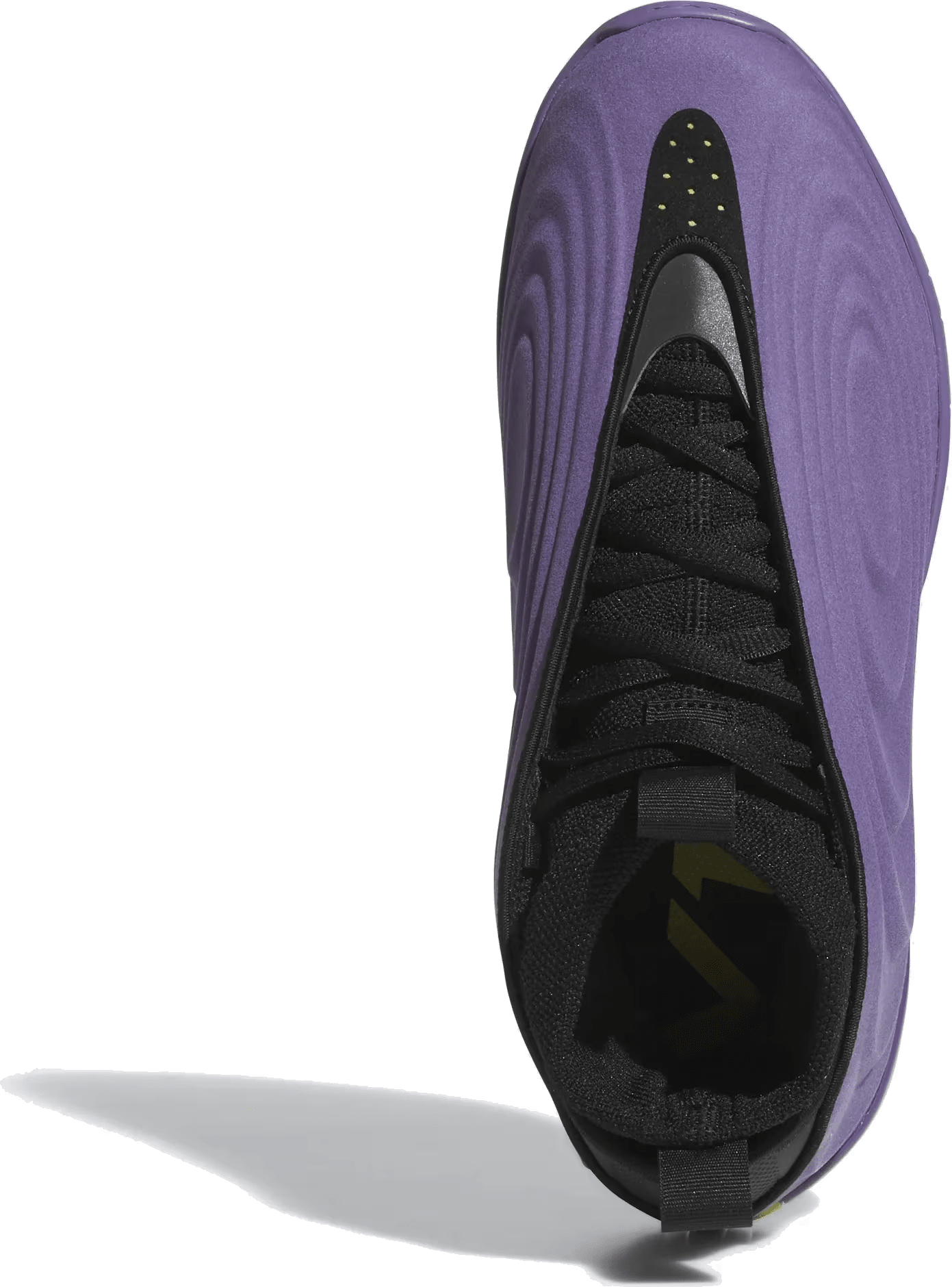 adidas Harden Vol. 10 Matte Purple