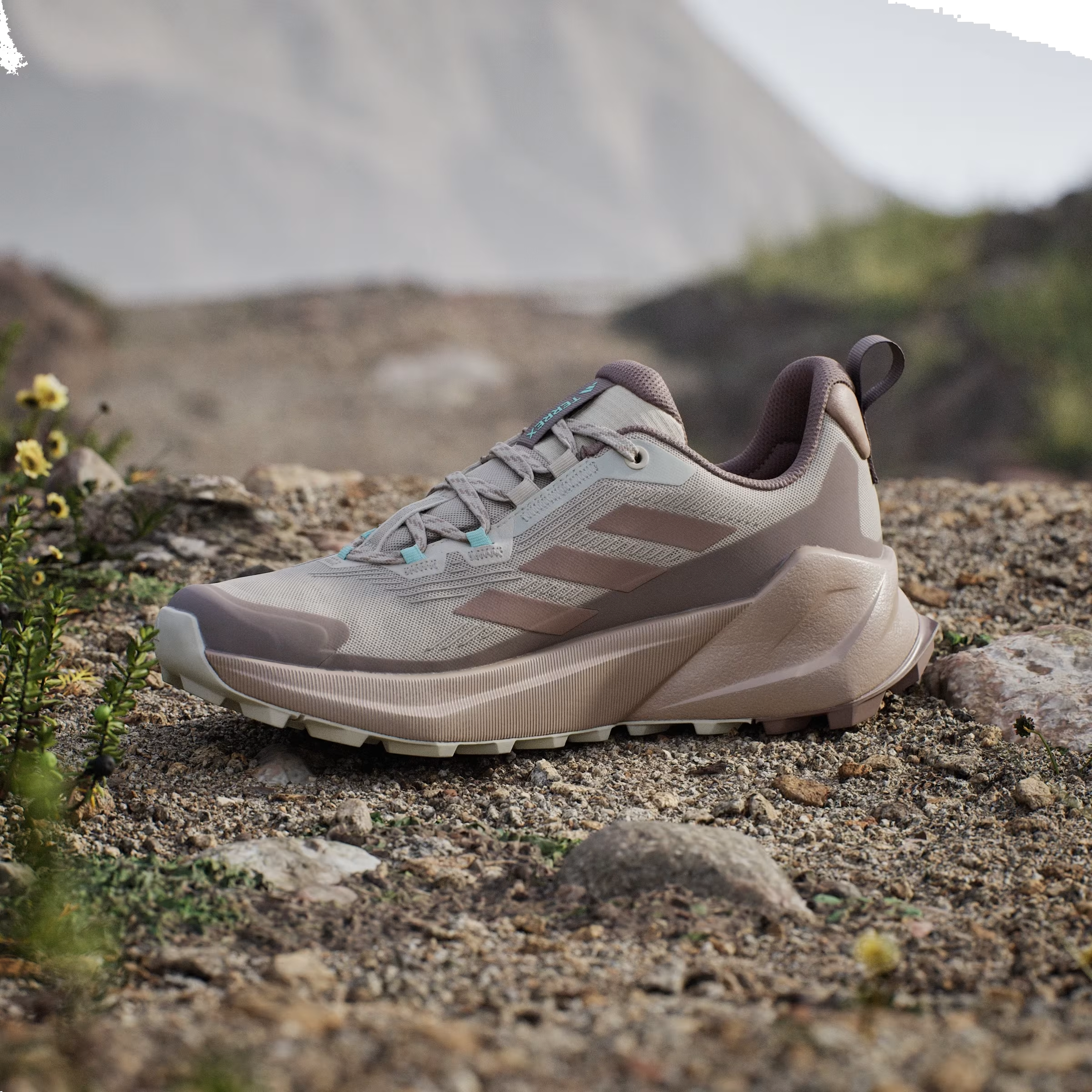 adidas Terrex Trailmaker 2.0 Beige Chalky Brown Trace Brown (Women's)