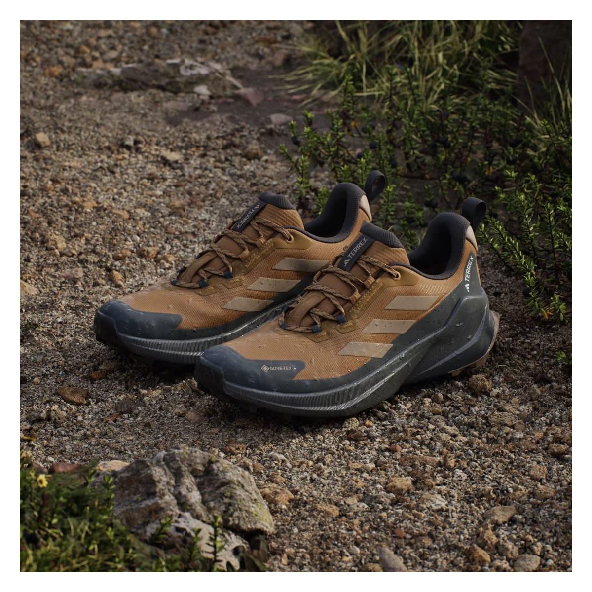 adidas Terrex Trailmaker 2 Gore-Tex Bronze Strata Blanch Cargo Carbon