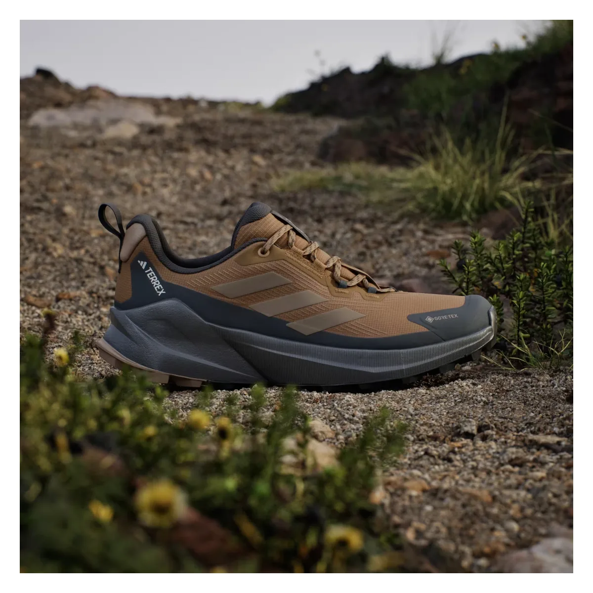 adidas Terrex Trailmaker 2 Gore-Tex Bronze Strata Blanch Cargo Carbon