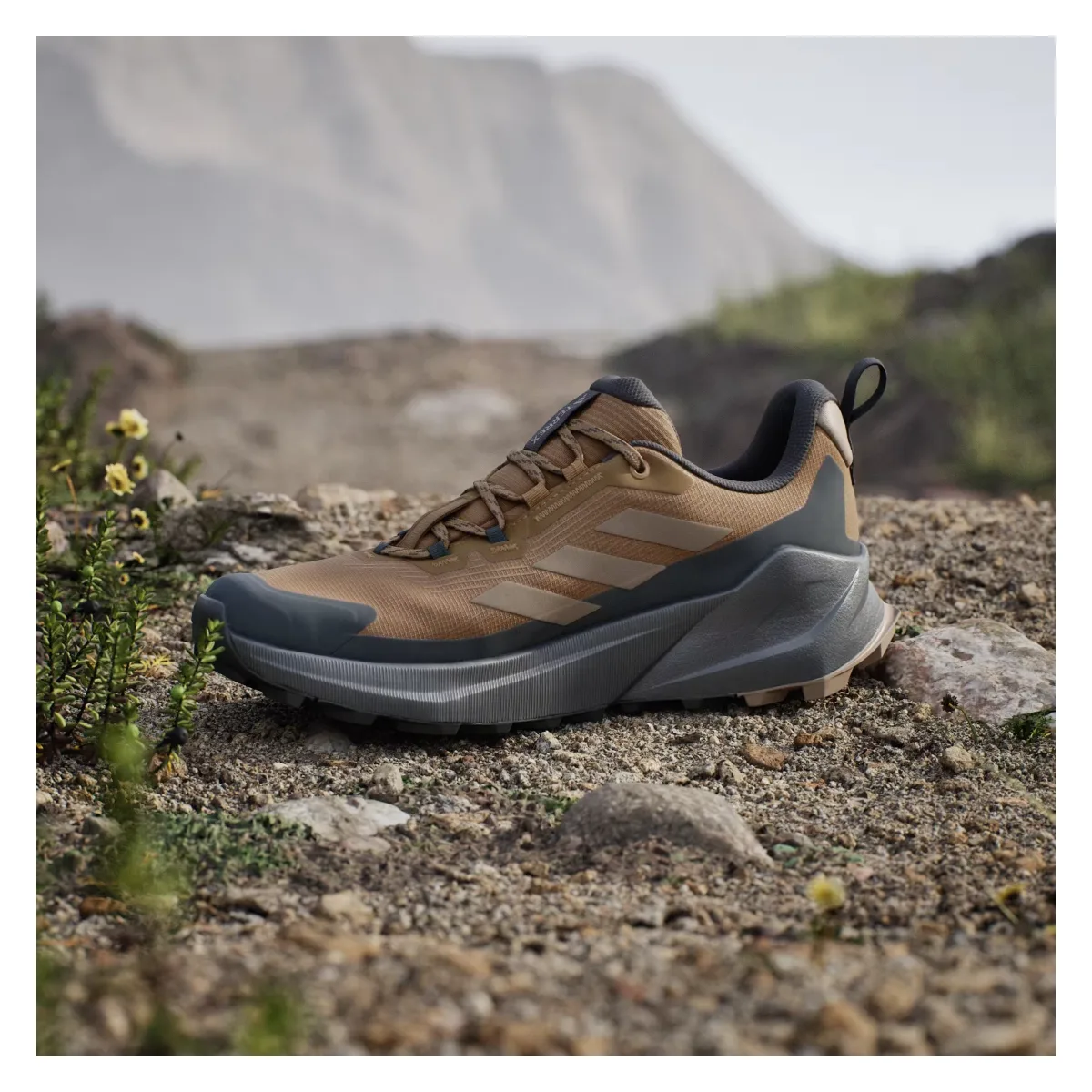 adidas Terrex Trailmaker 2 Gore-Tex Bronze Strata Blanch Cargo Carbon