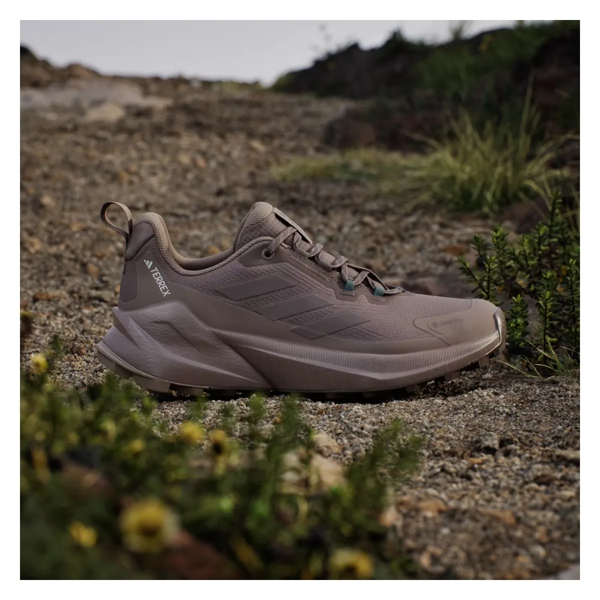 adidas Terrex Trailmaker 2.0 Gore-Tex Earth Strata Trace Brown Chalky Brown (Women's)