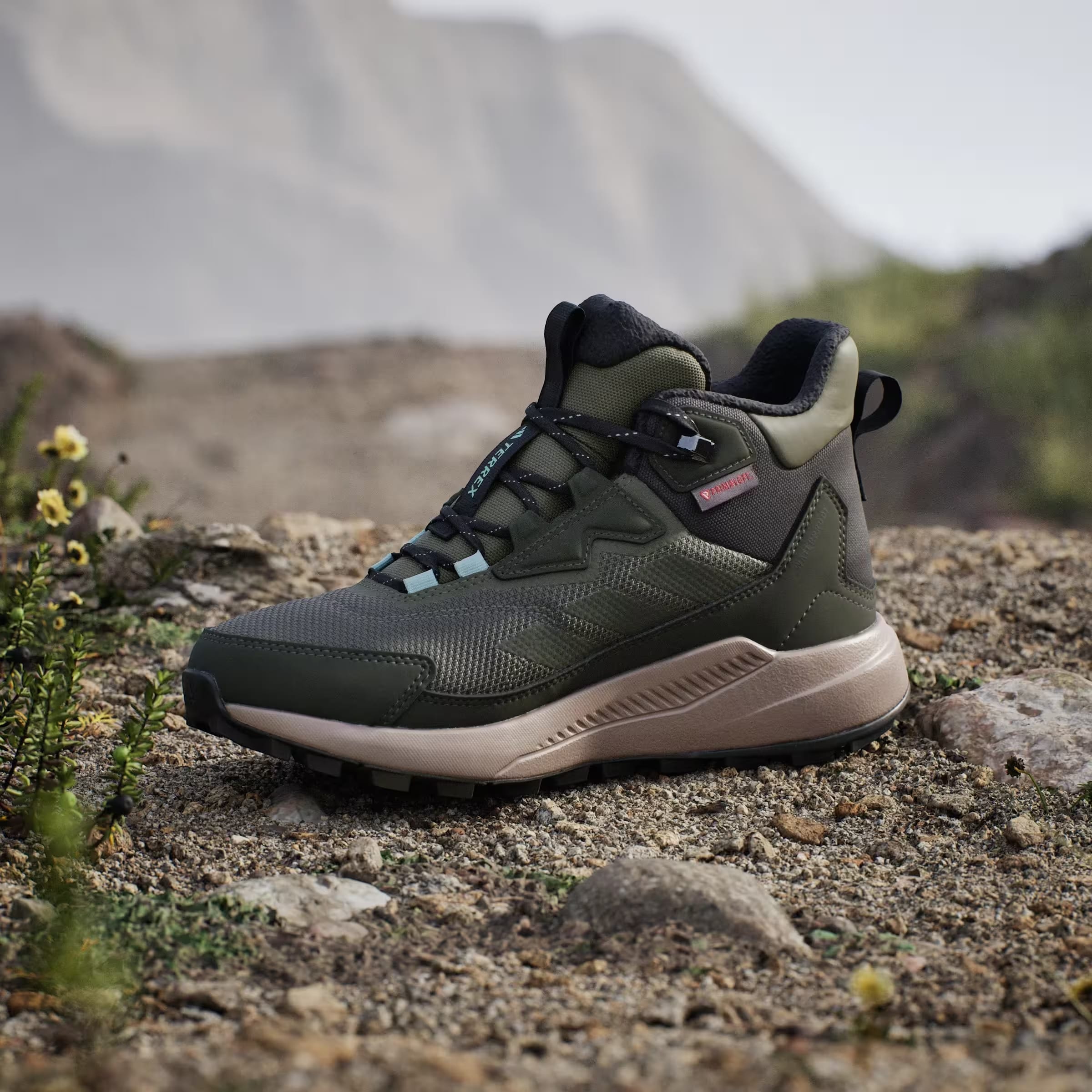 adidas Terrex Anylander Climawarm+ Olive Strata Night Cargo Semi Flash Aqua (Women's)