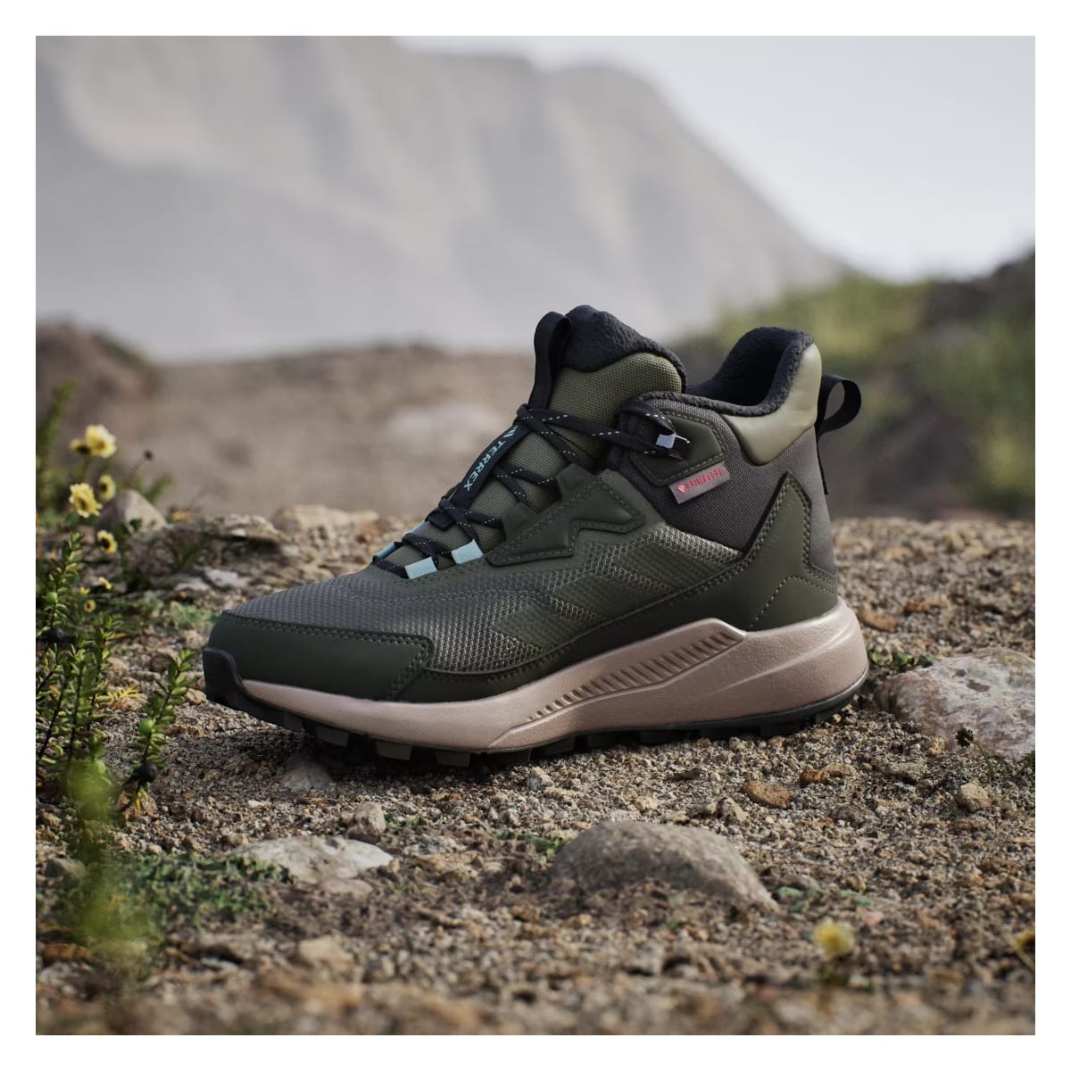 adidas Terrex Anylander Climawarm+ Olive Strata Night Cargo Semi Flash Aqua (Women's)