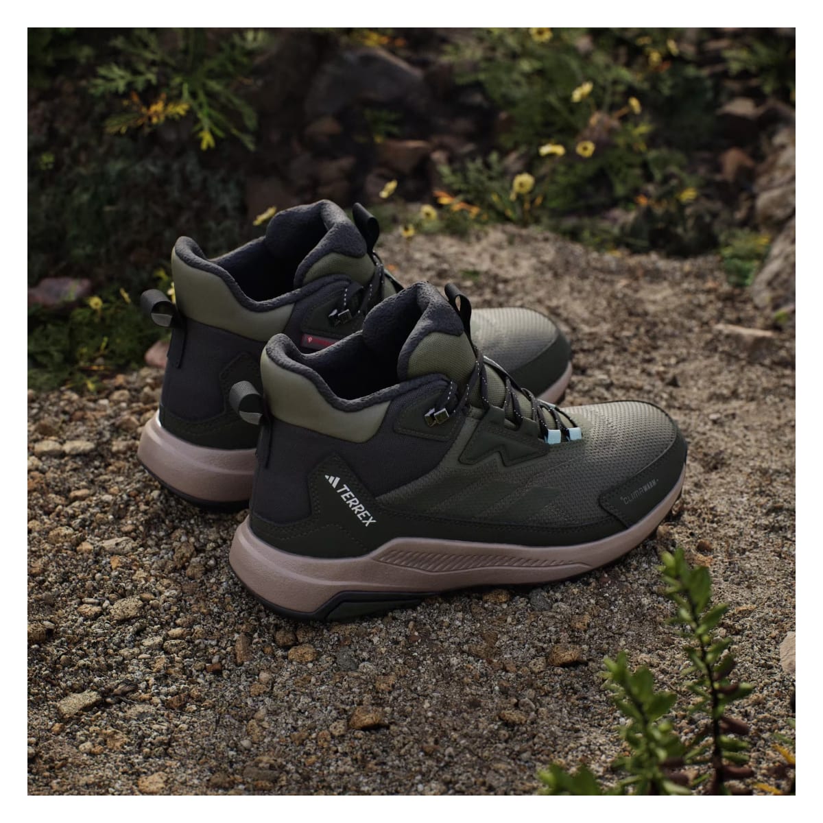 adidas Terrex Anylander Climawarm+ Olive Strata Night Cargo Semi Flash Aqua (Women's)