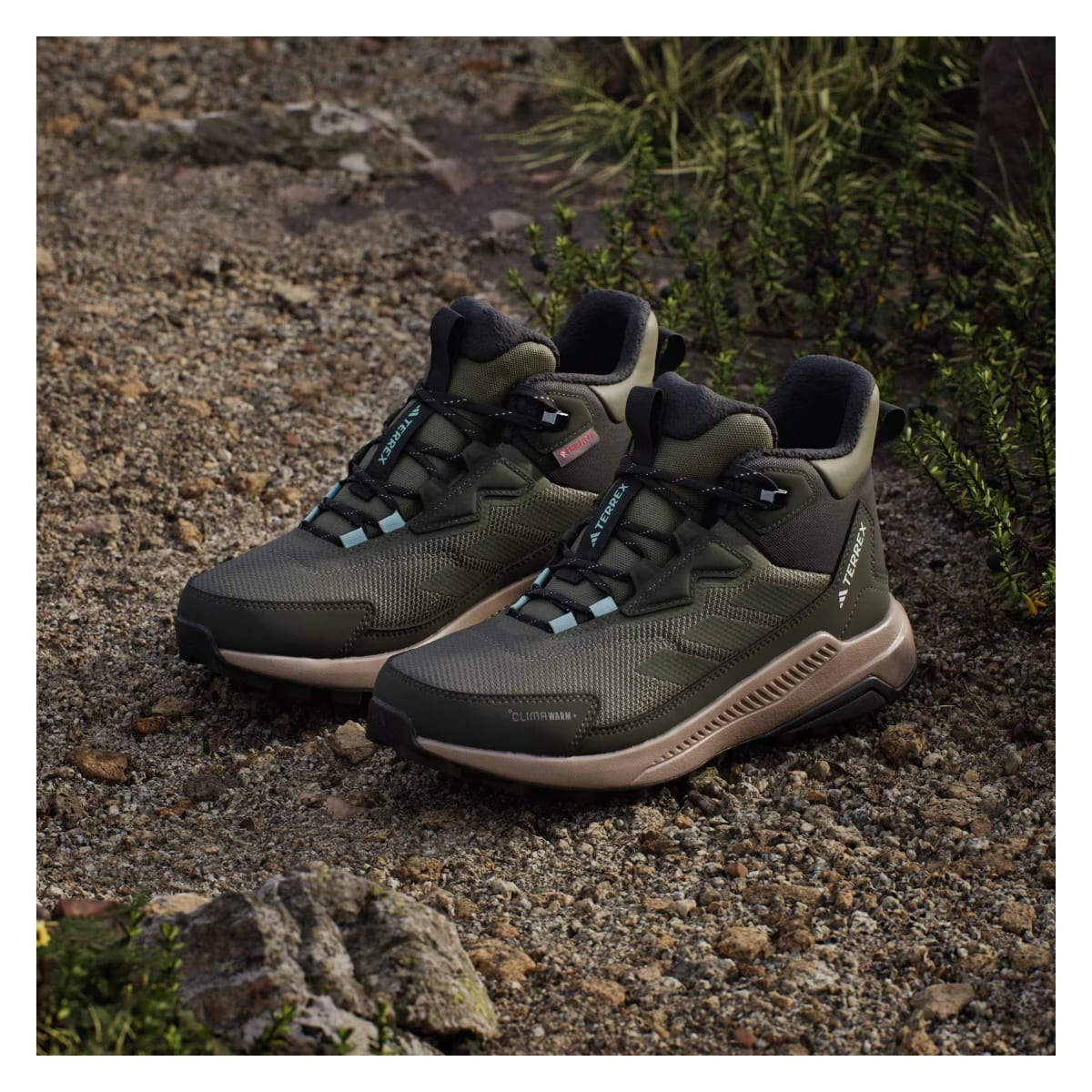 adidas Terrex Anylander Climawarm+ Olive Strata Night Cargo Semi Flash Aqua (Women's)