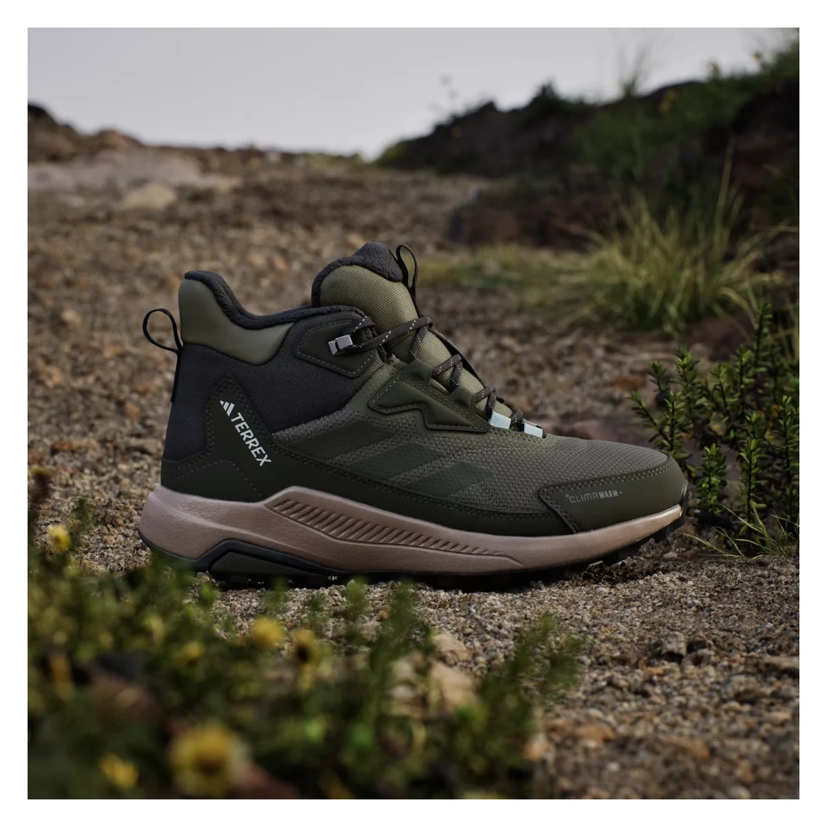 adidas Terrex Anylander Climawarm+ Olive Strata Night Cargo Semi Flash Aqua (Women's)
