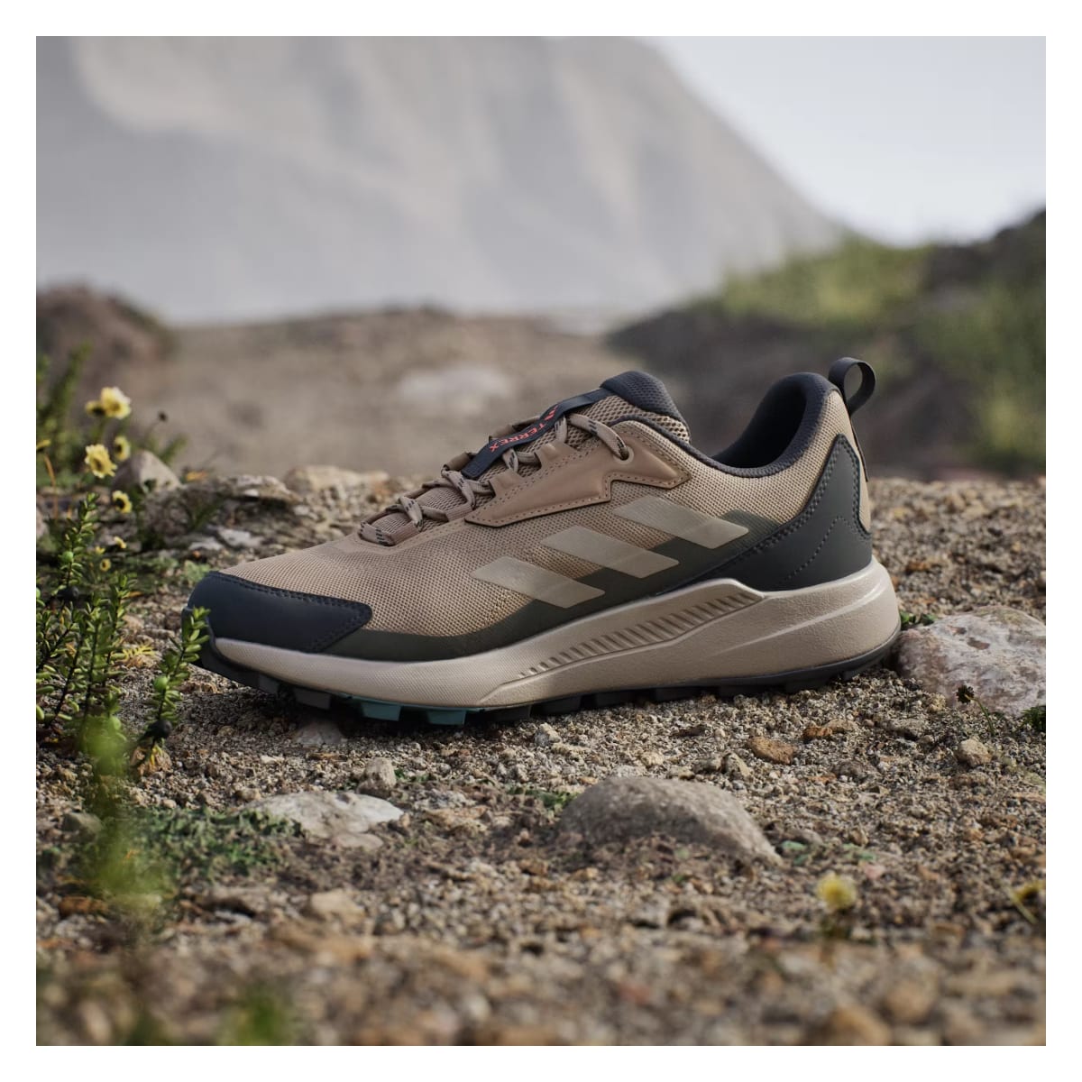 adidas Terrex Anylander Cardboard Blanch Cargo Shadow Olive