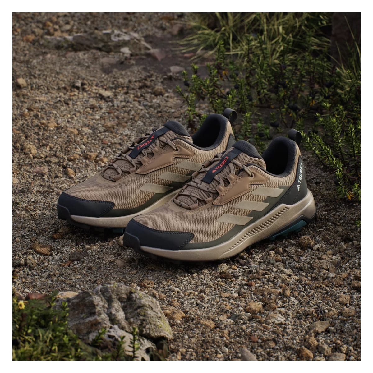adidas Terrex Anylander Cardboard Blanch Cargo Shadow Olive