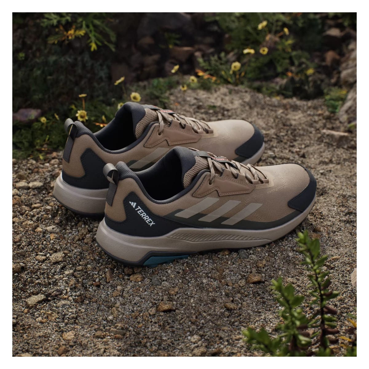 adidas Terrex Anylander Cardboard Blanch Cargo Shadow Olive