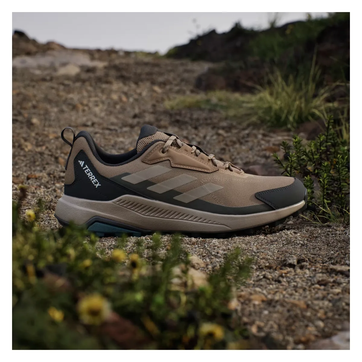 adidas Terrex Anylander Cardboard Blanch Cargo Shadow Olive