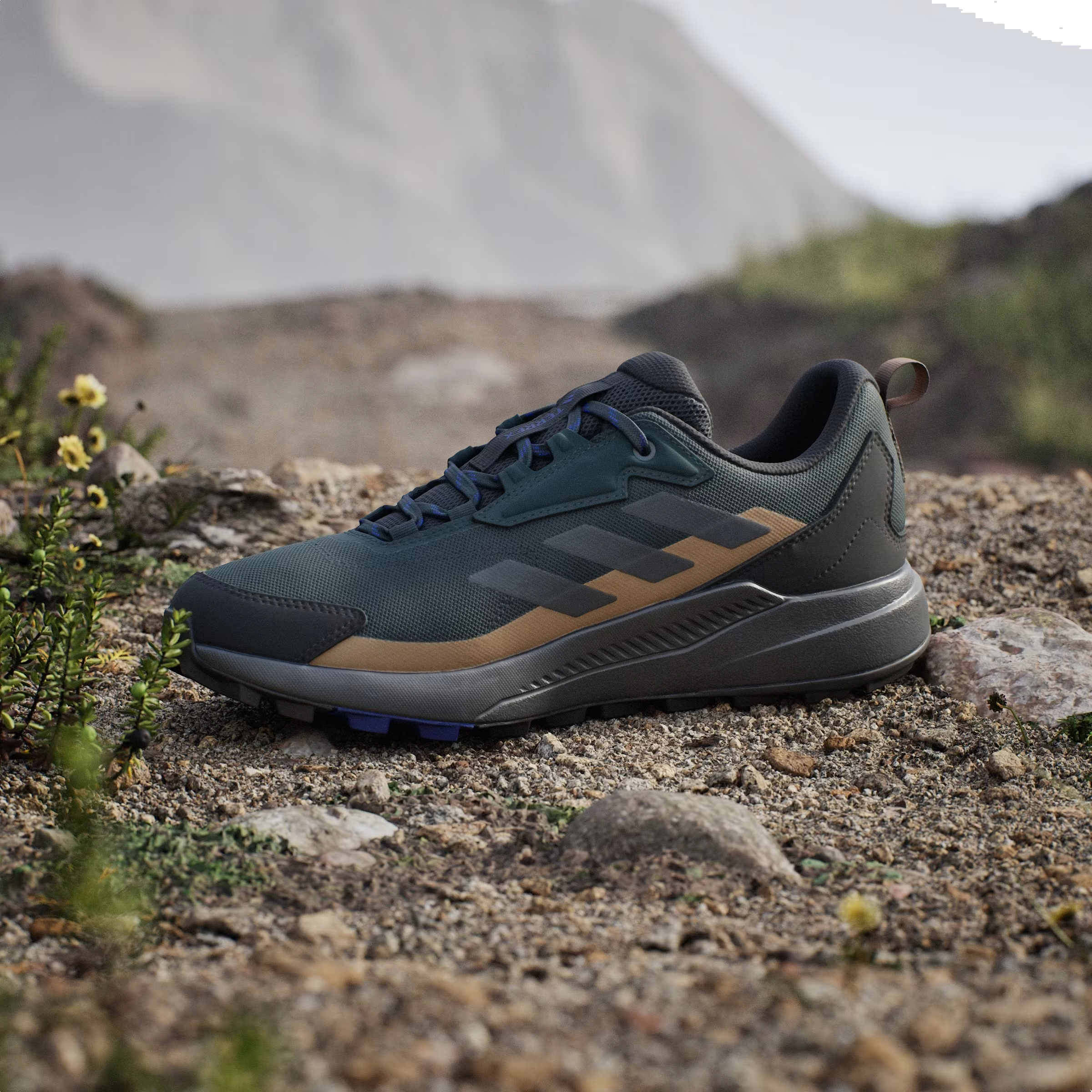 adidas Terrex Anylander Aurora Ivy Grey Six Cardboard