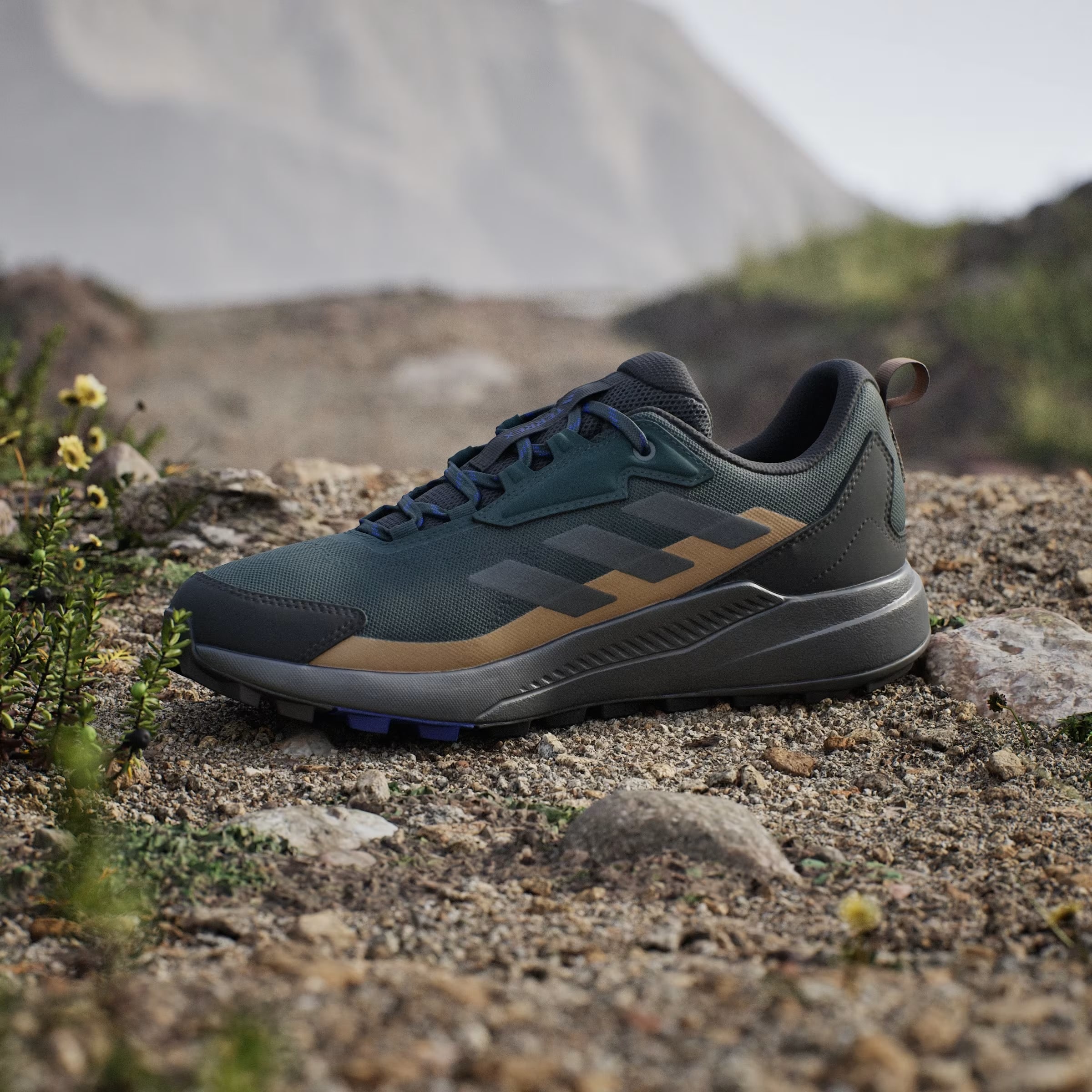 adidas Terrex Anylander Aurora Ivy Grey Six Cardboard
