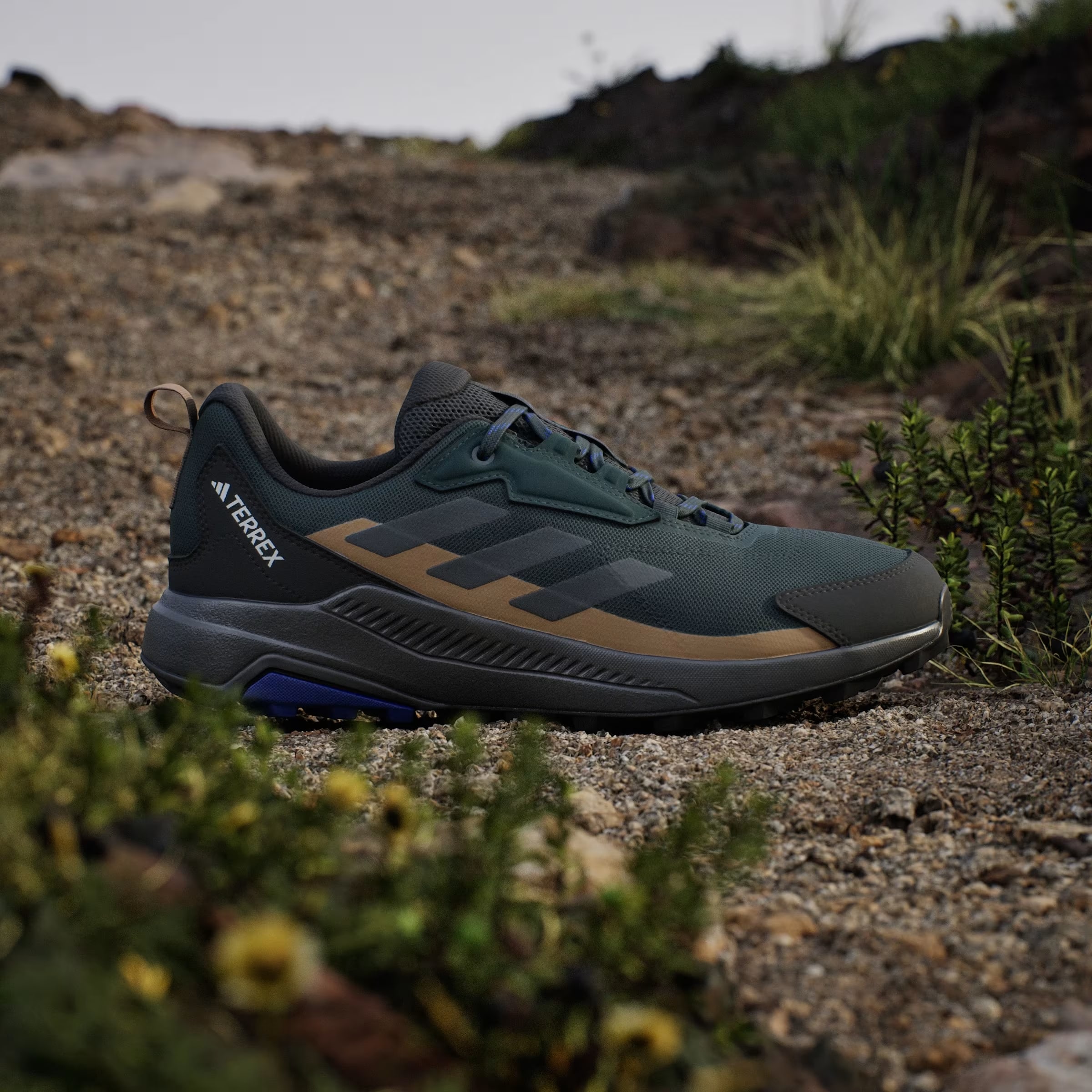 adidas Terrex Anylander Aurora Ivy Grey Six Cardboard
