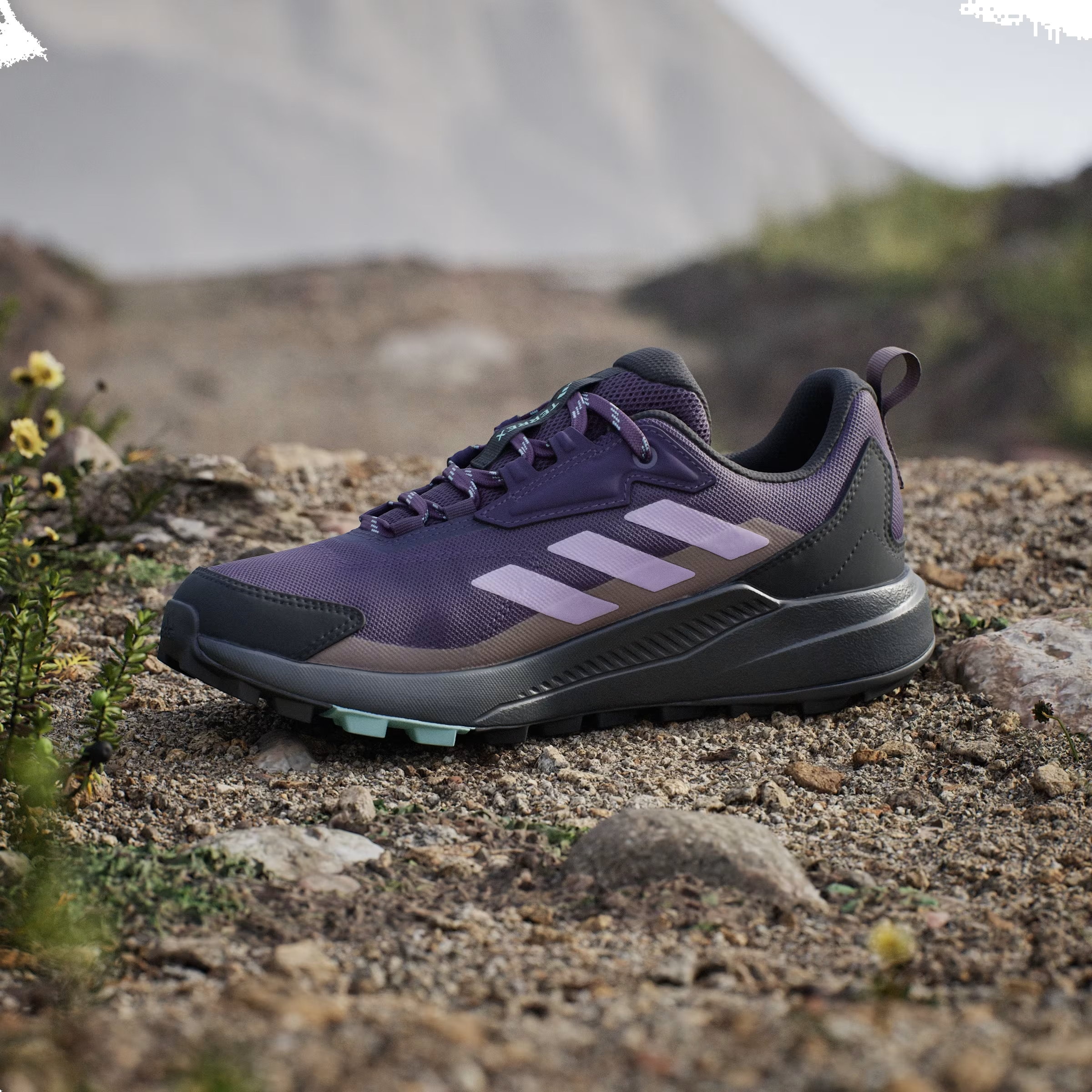 adidas Terrex Anylander Aurora Plum Powder Plum Trace Brown (Women's)