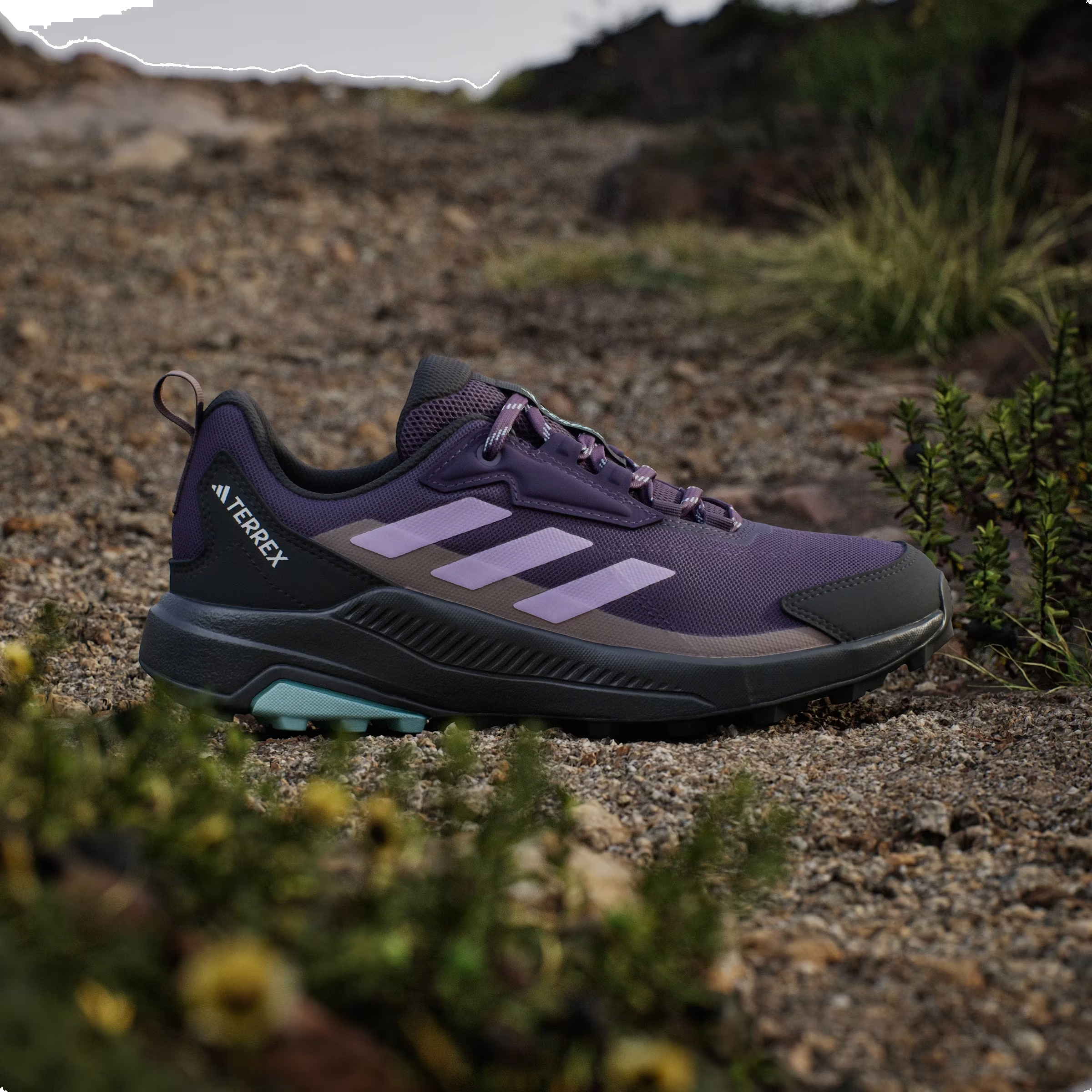 adidas Terrex Anylander Aurora Plum Powder Plum Trace Brown (Women's)
