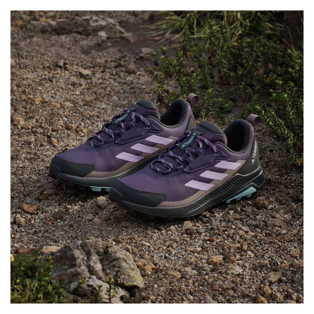 adidas Terrex Anylander Aurora Plum Powder Plum Trace Brown (Women's)