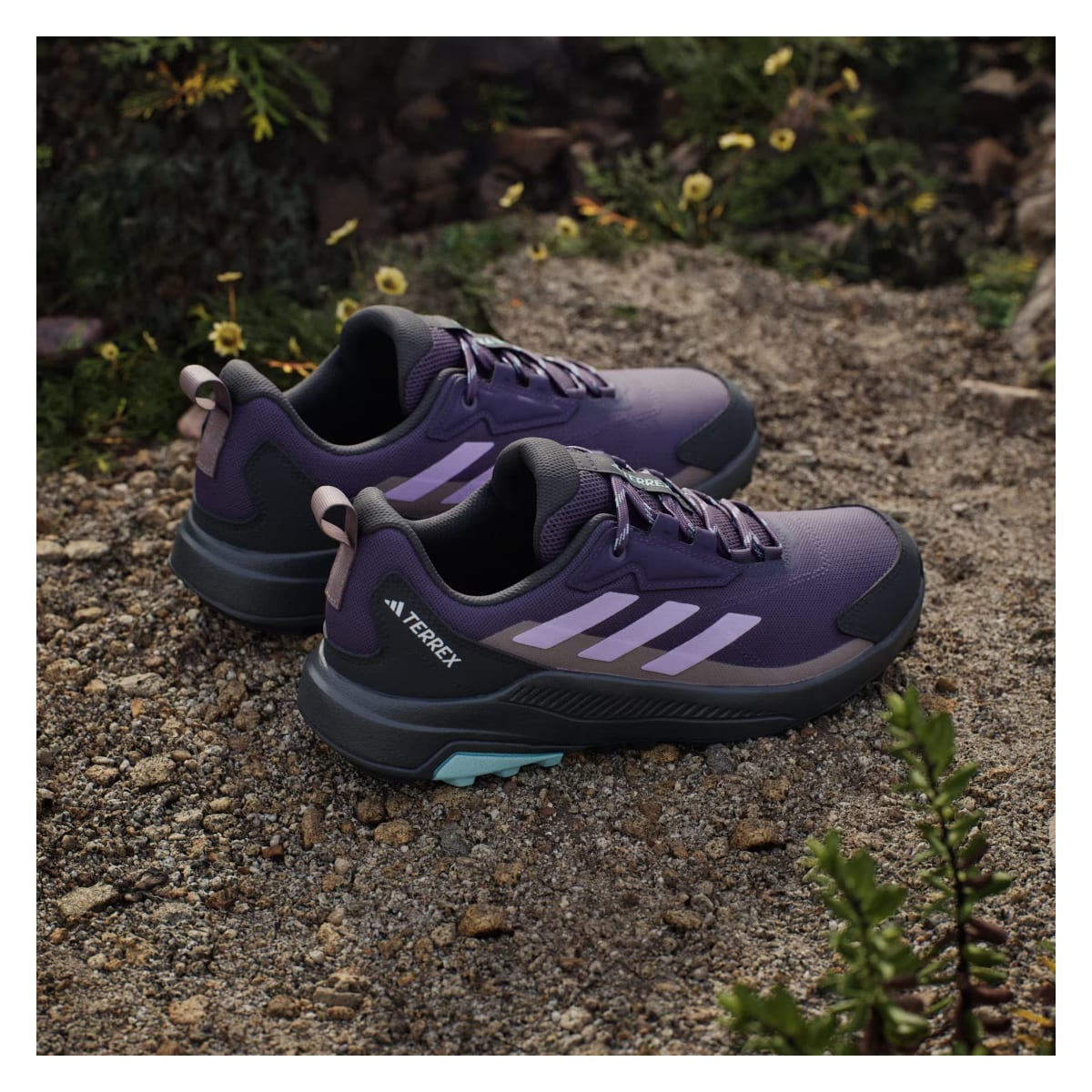 adidas Terrex Anylander Aurora Plum Powder Plum Trace Brown (Women's)