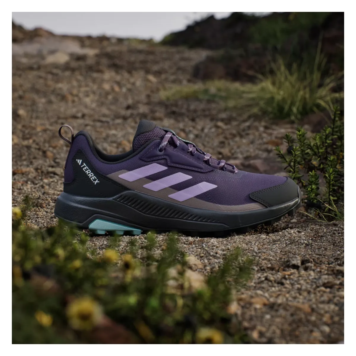 adidas Terrex Anylander Aurora Plum Powder Plum Trace Brown (Women's)