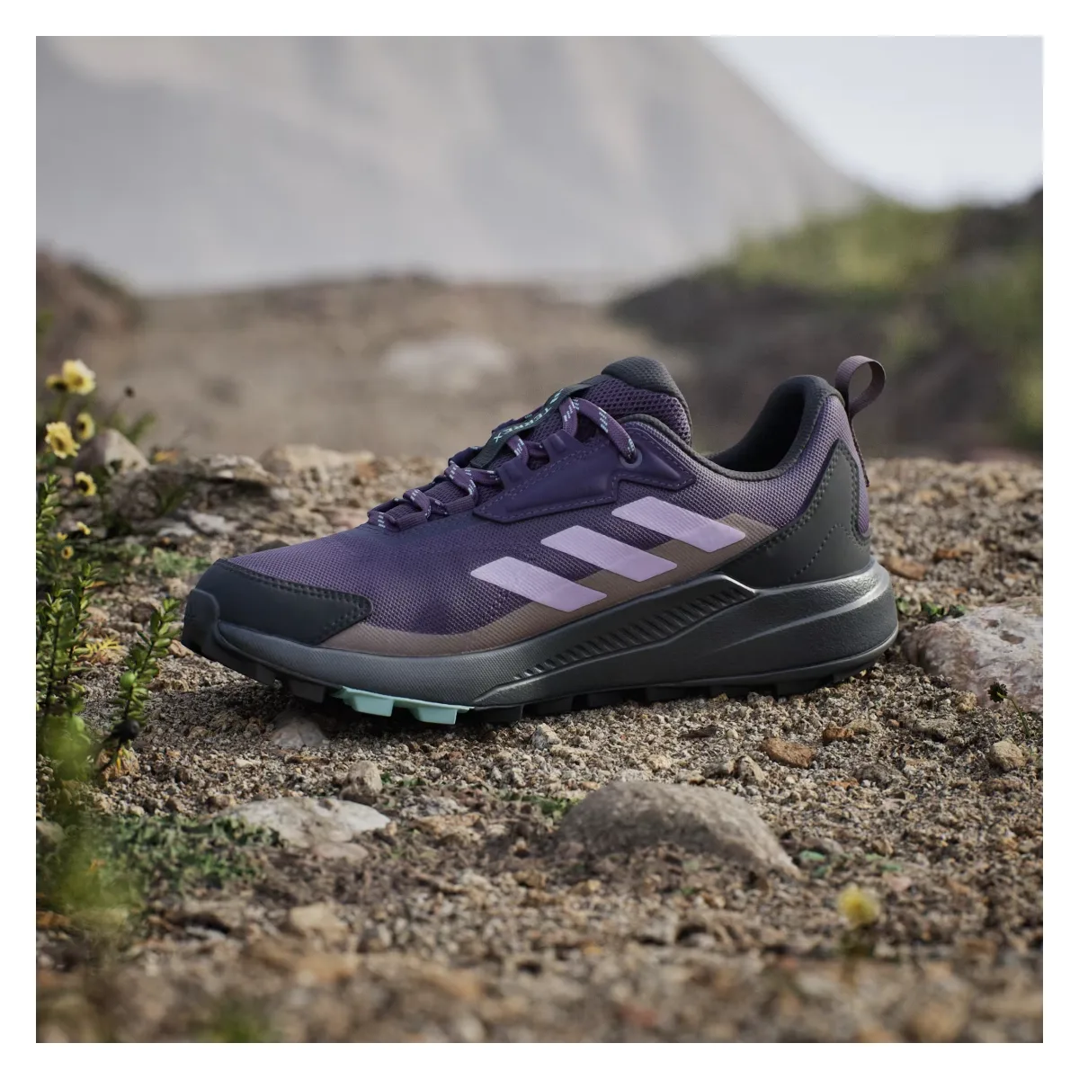 adidas Terrex Anylander Aurora Plum Powder Plum Trace Brown (Women's)