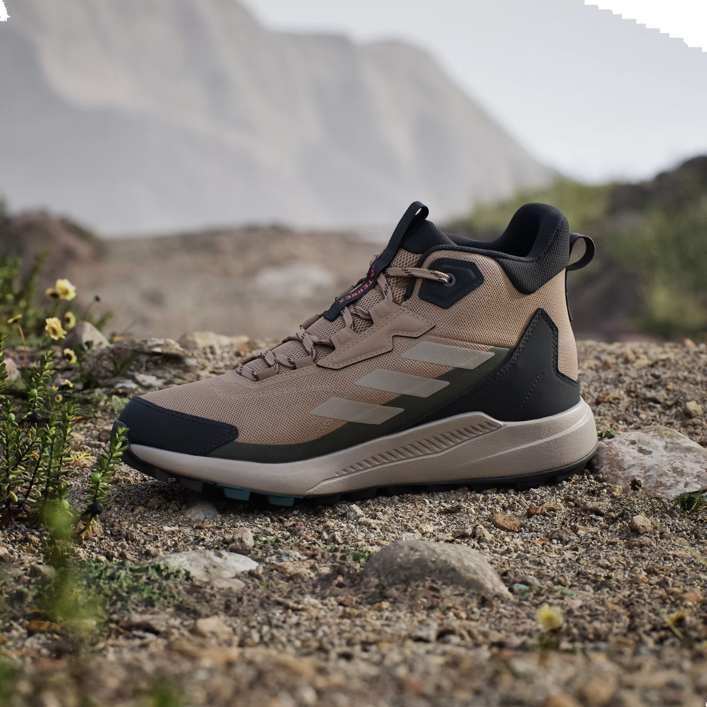 adidas Terrex Anylander Mid