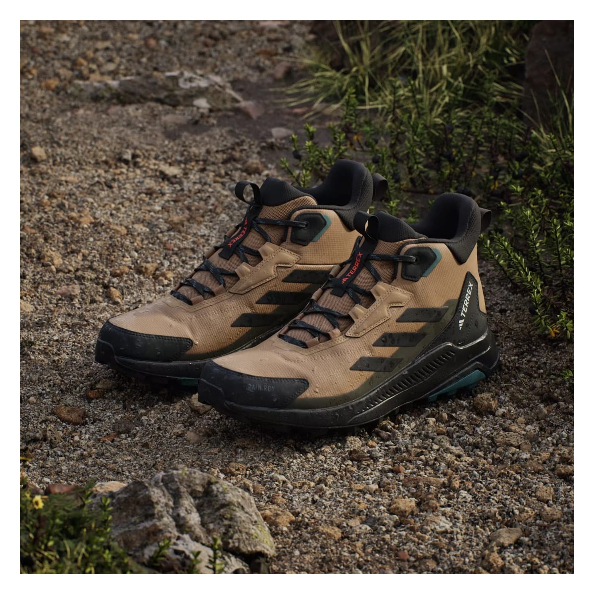 adidas Terrex Anylander Mid Rain.RDY Cardboard Core Black Shadow Olive
