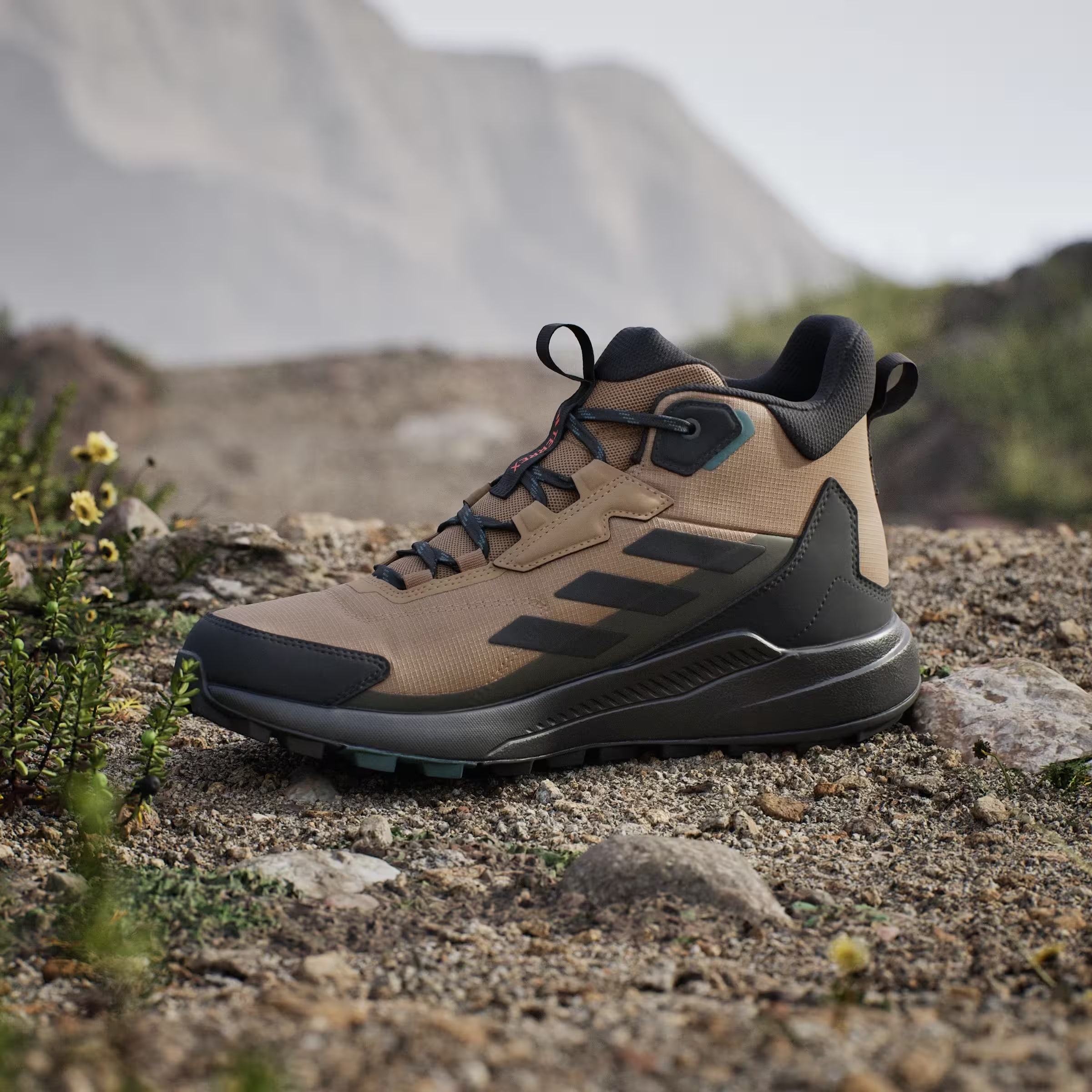 adidas Terrex Anylander Mid Rain.RDY Cardboard Core Black Shadow Olive