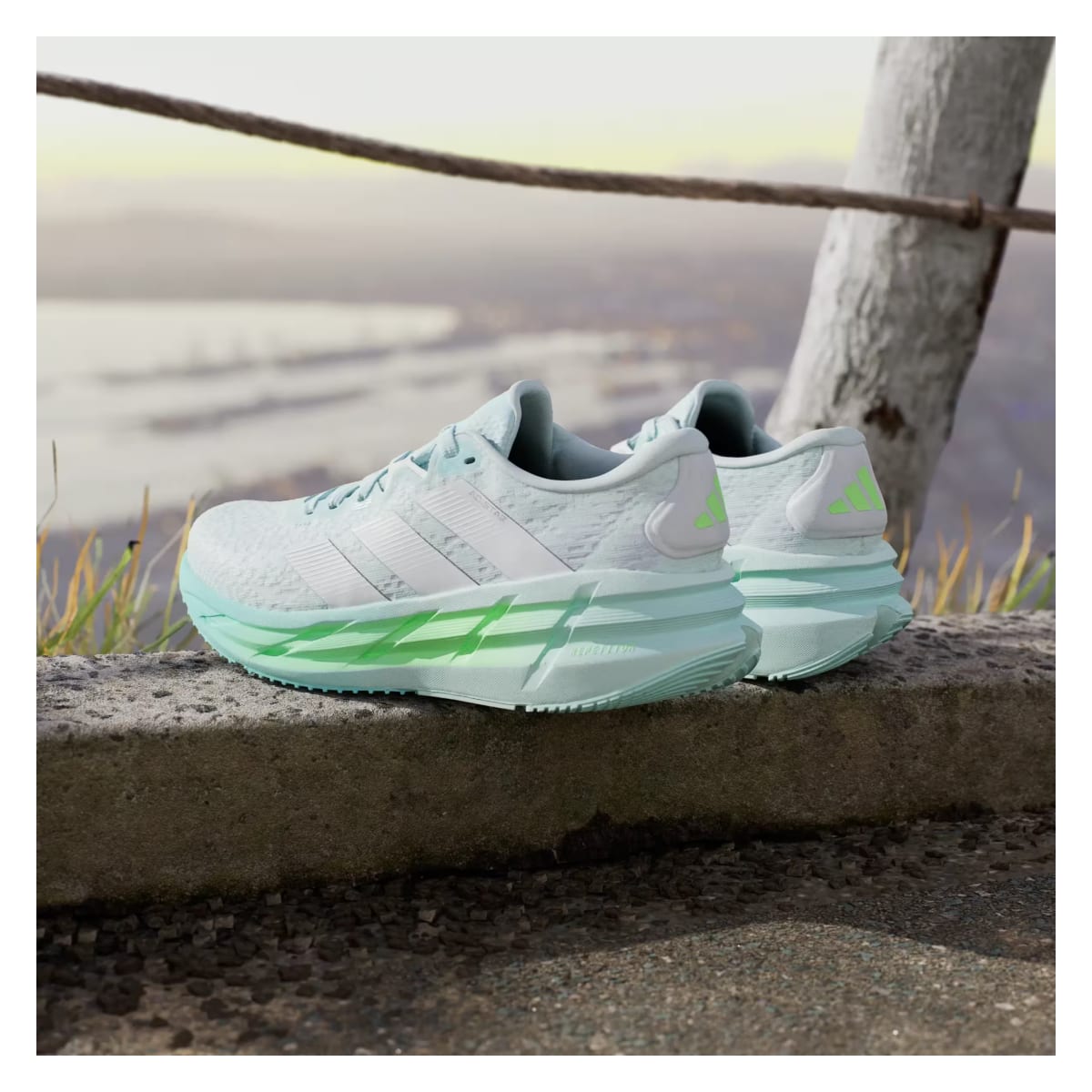 adidas Adistar 4 Halo Mint Zero Metalic Lime Burst (Women's)
