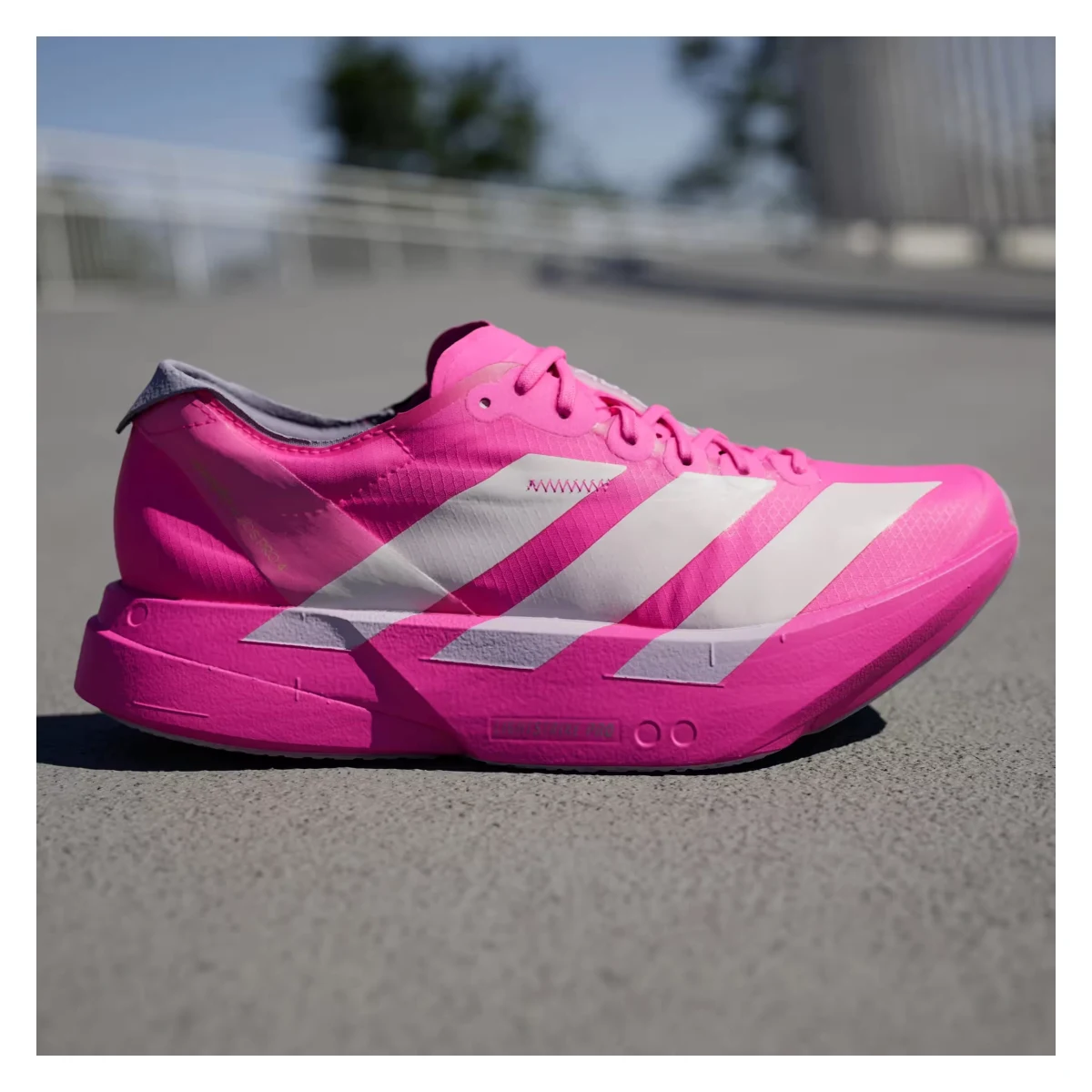 adidas Adizero Adios Pro 4 Shock Pink (Women's)