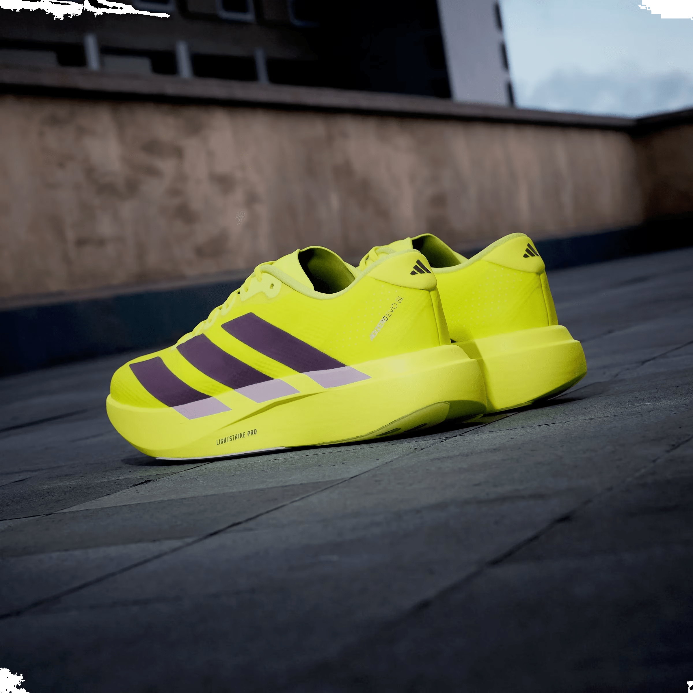 adidas Adizero Evo SL Solar Yellow Plum