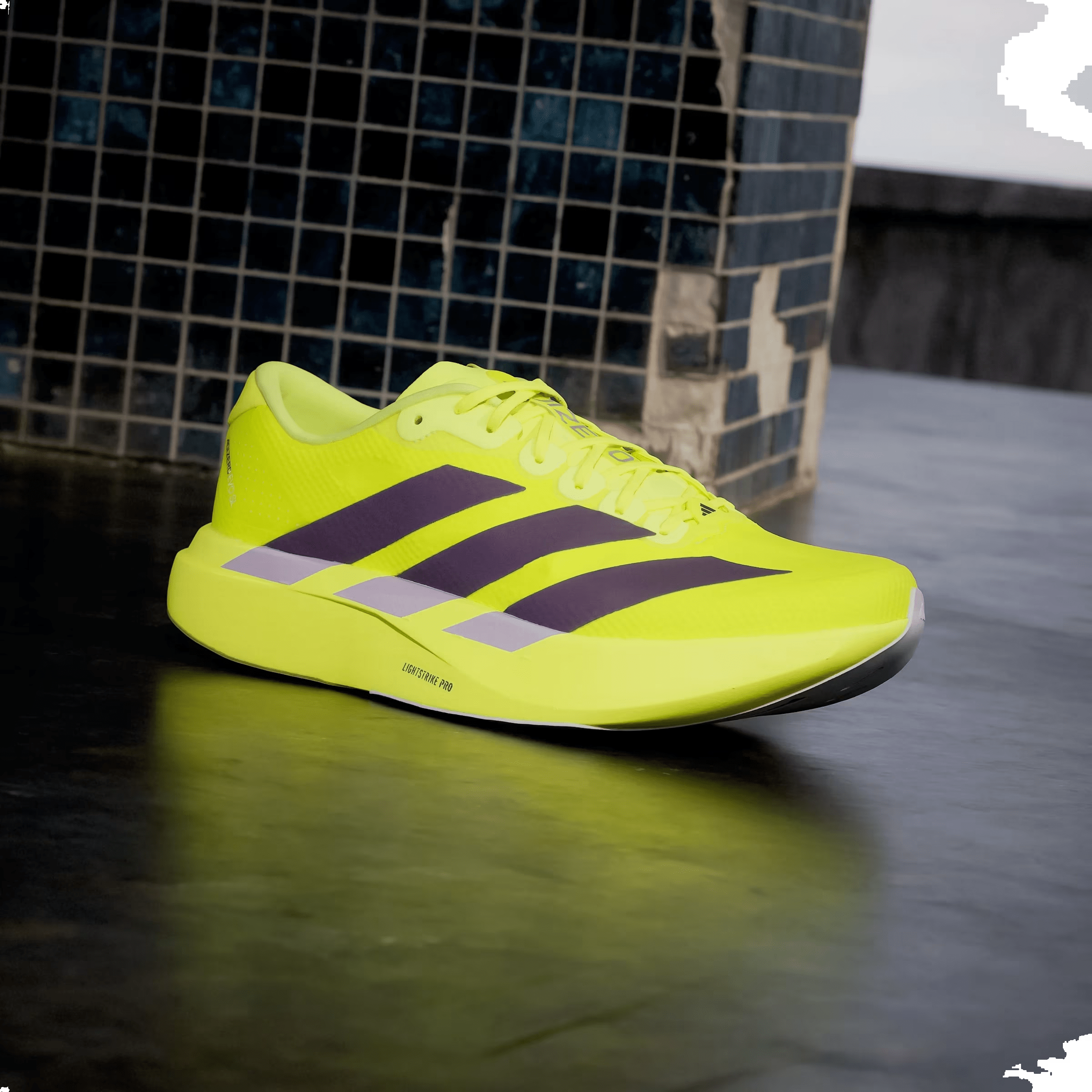 adidas Adizero Evo SL Solar Yellow Plum