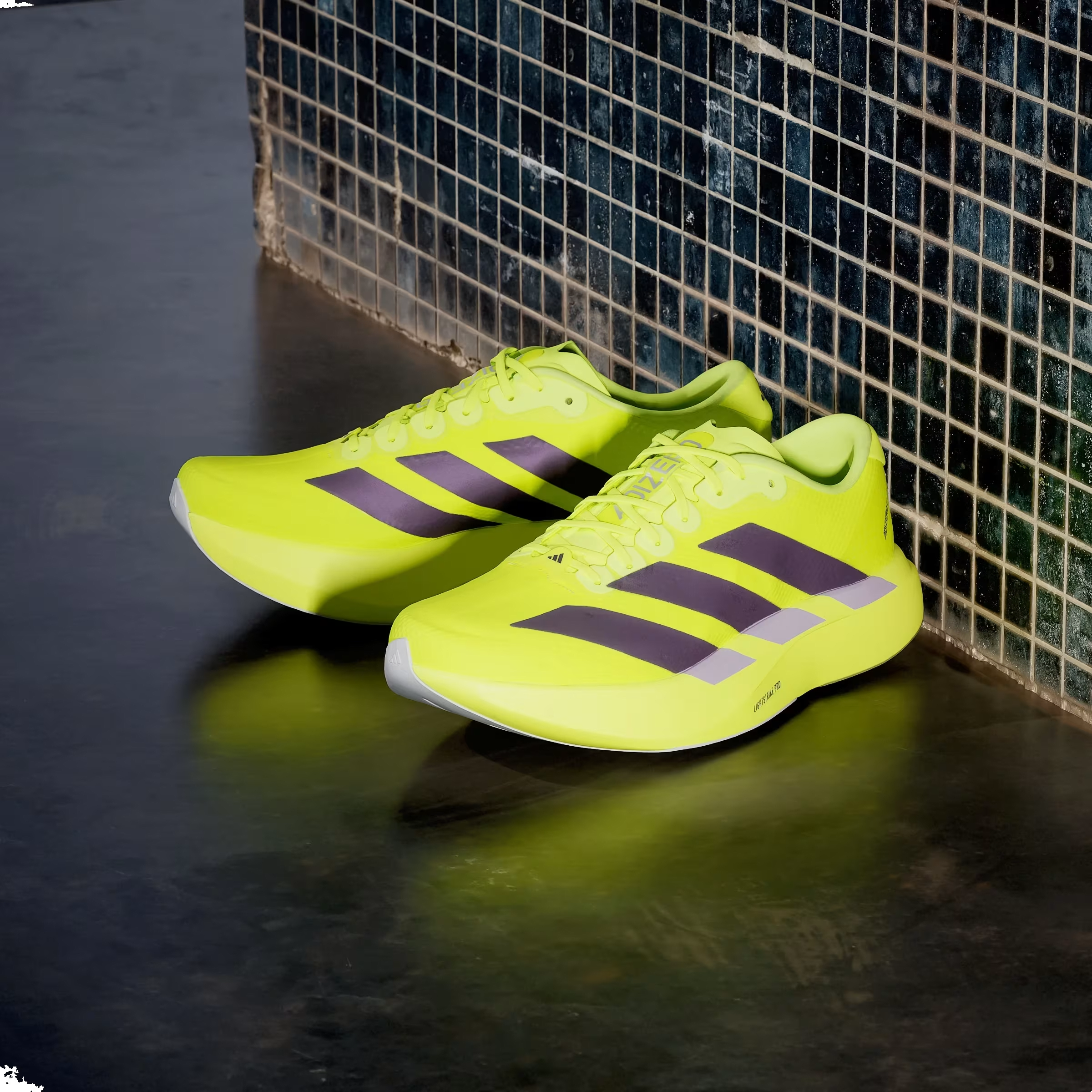 adidas Adizero Evo SL Solar Yellow Plum