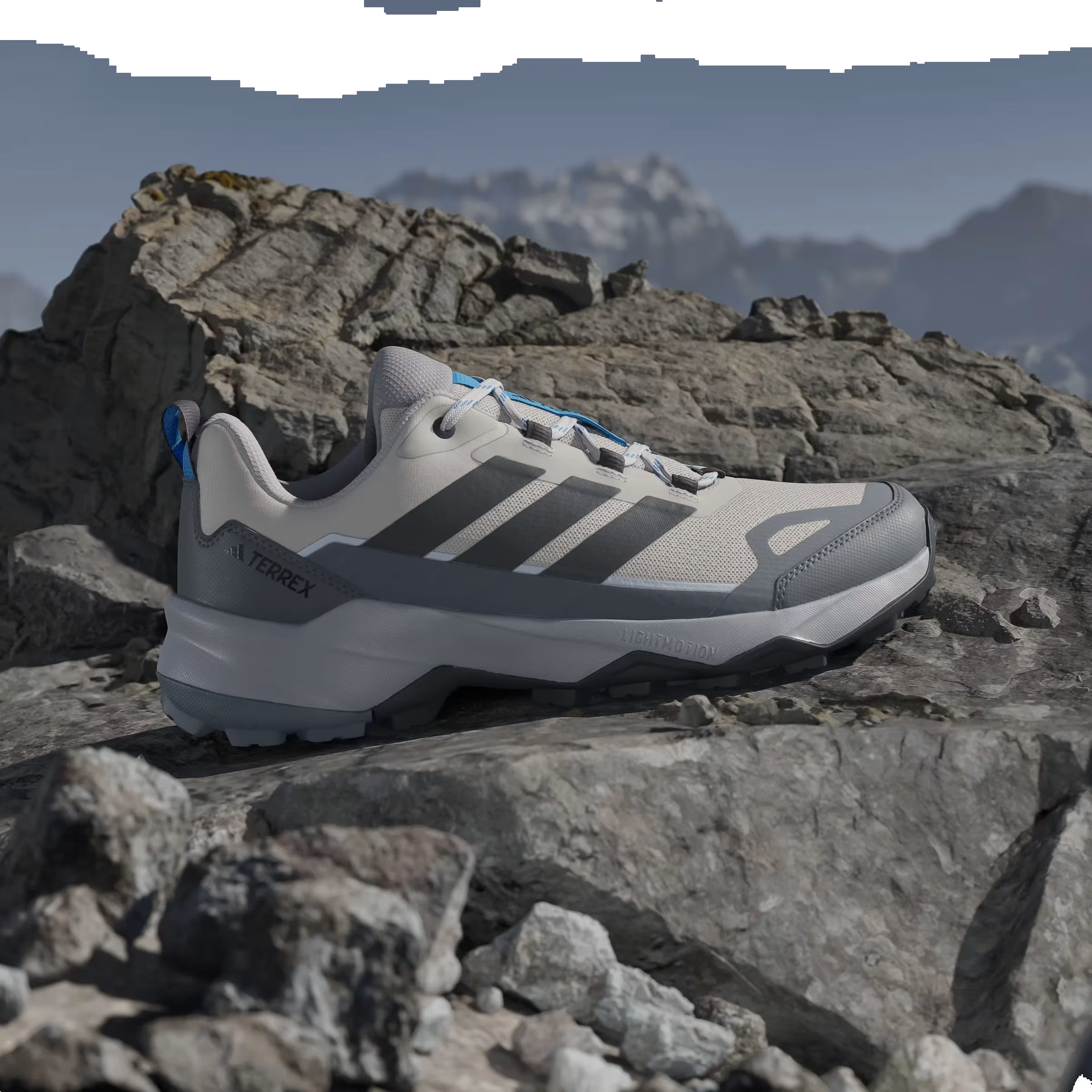 adidas Terrex Skychaser Ax5