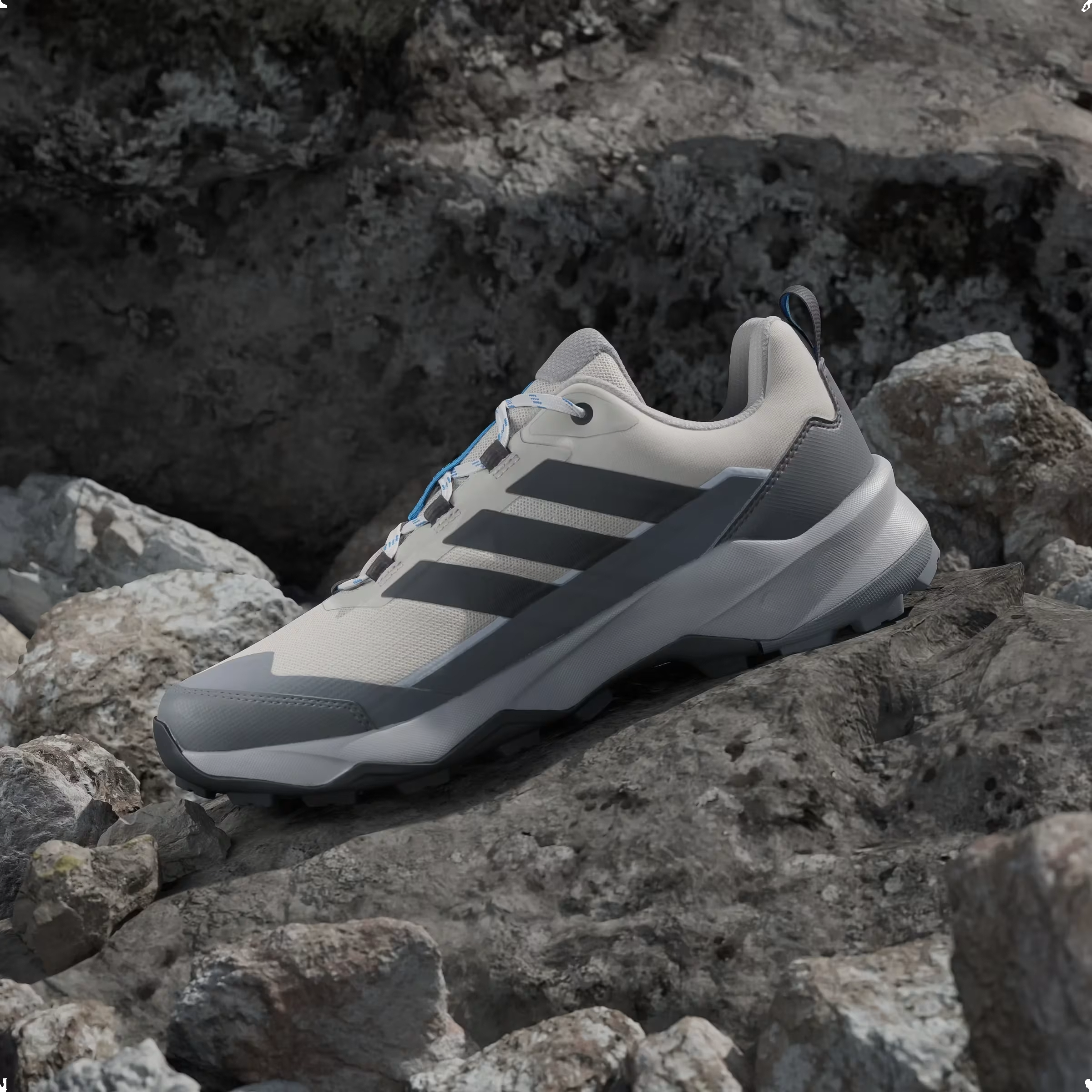 adidas Terrex Skychaser Ax5