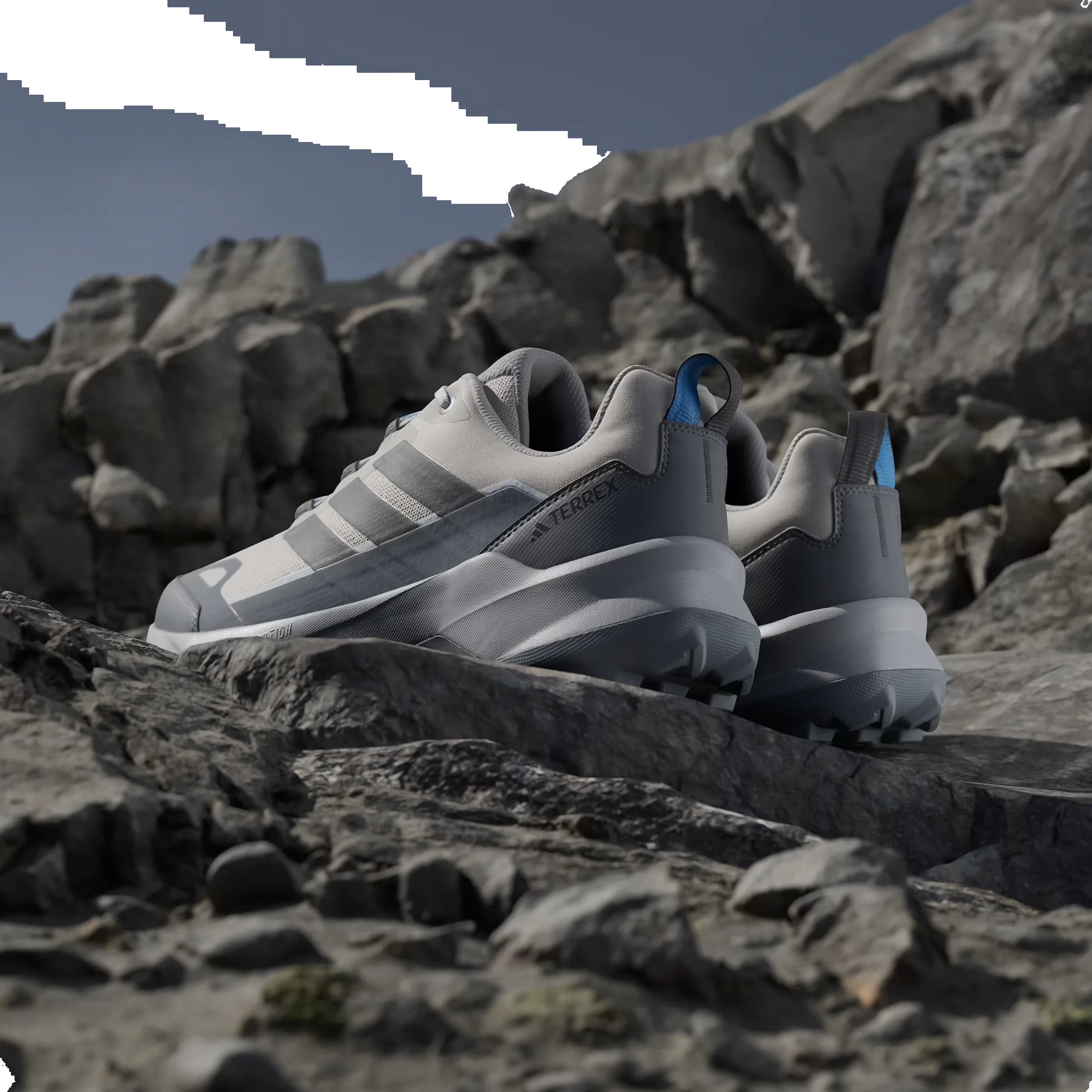 adidas Terrex Skychaser Ax5