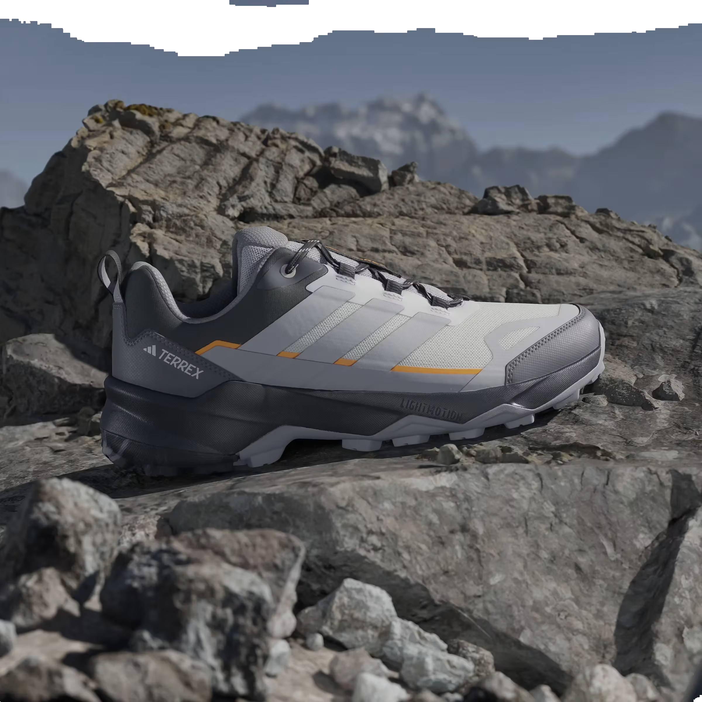 adidas Terrex Skychaser Ax5