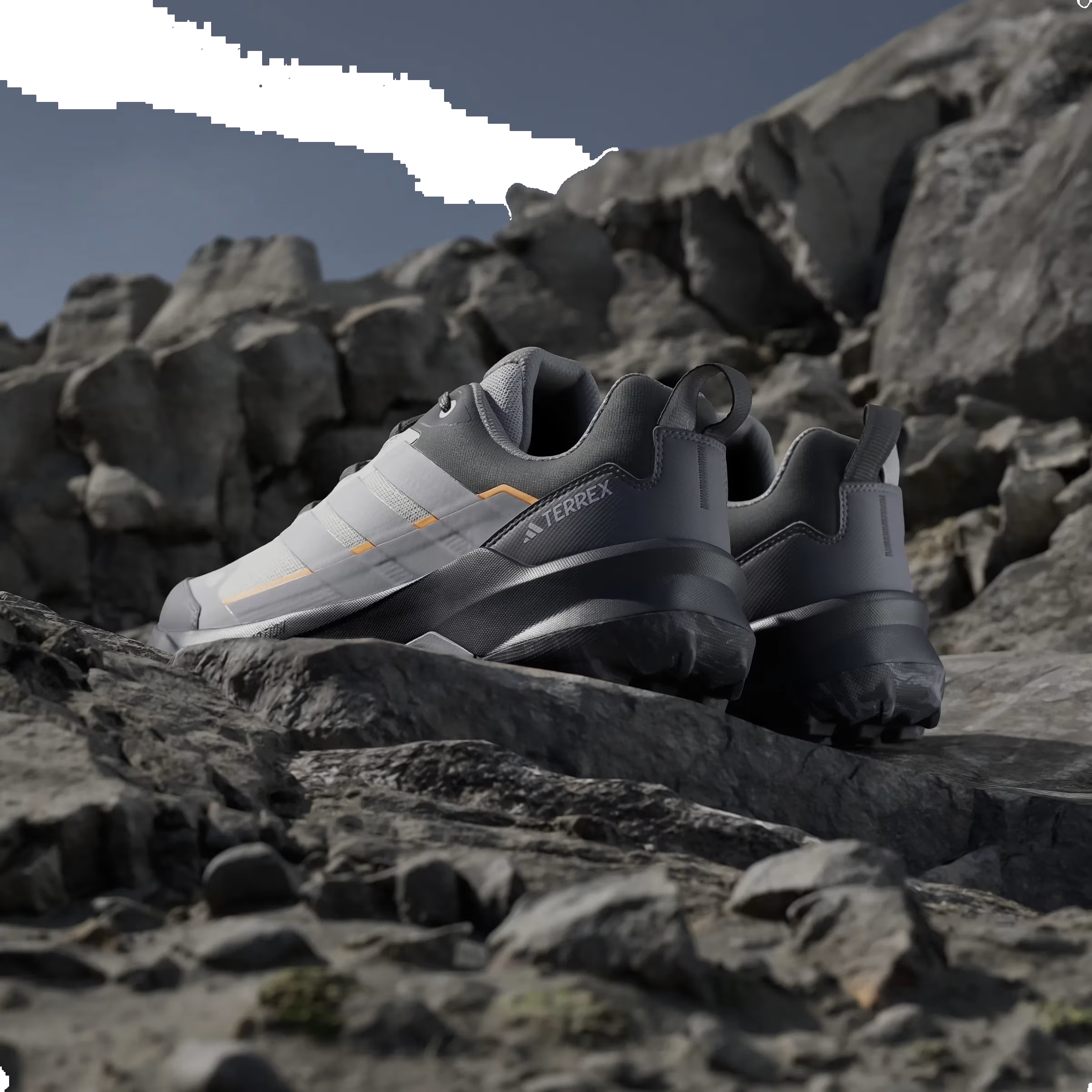 adidas Terrex Skychaser Ax5