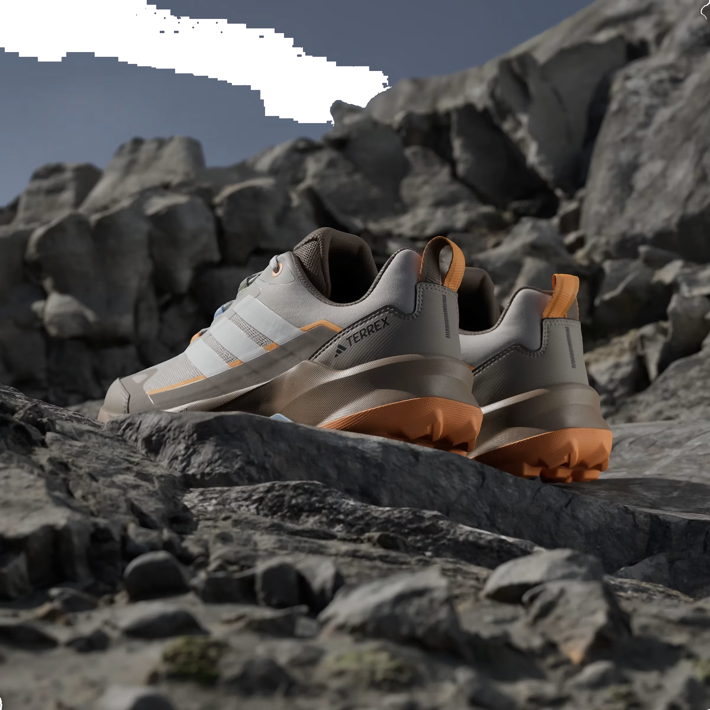 adidas Terrex Skychaser Ax5