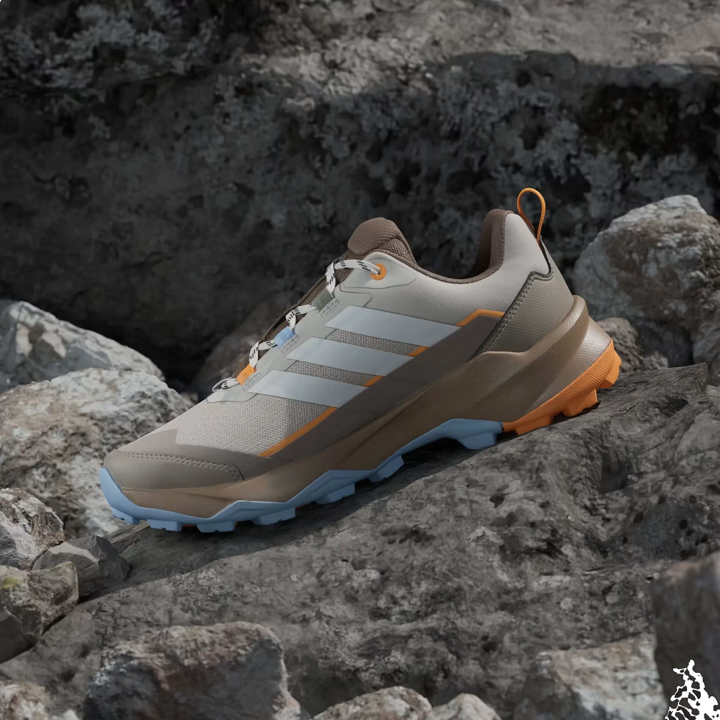 adidas Terrex Skychaser Ax5