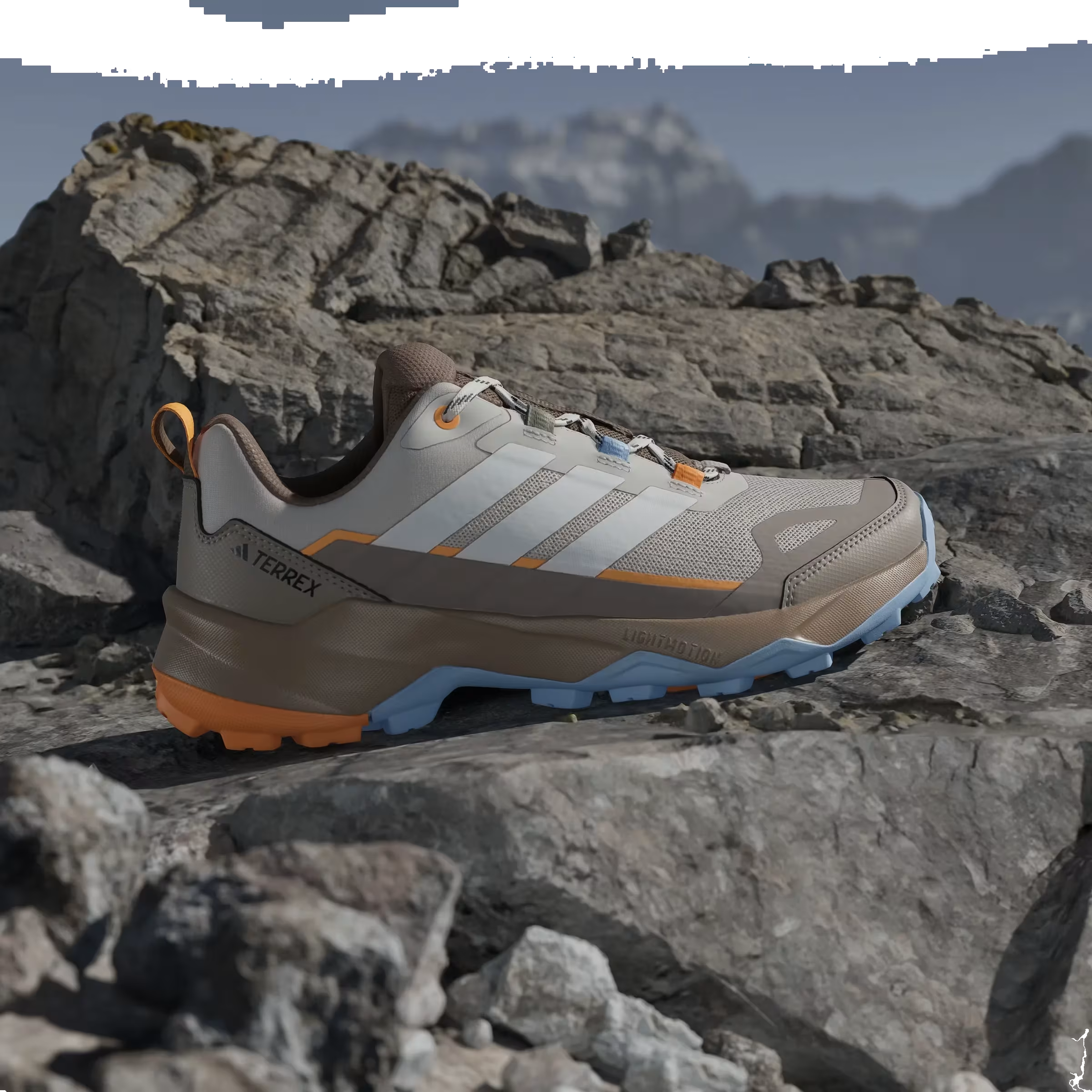 adidas Terrex Skychaser Ax5