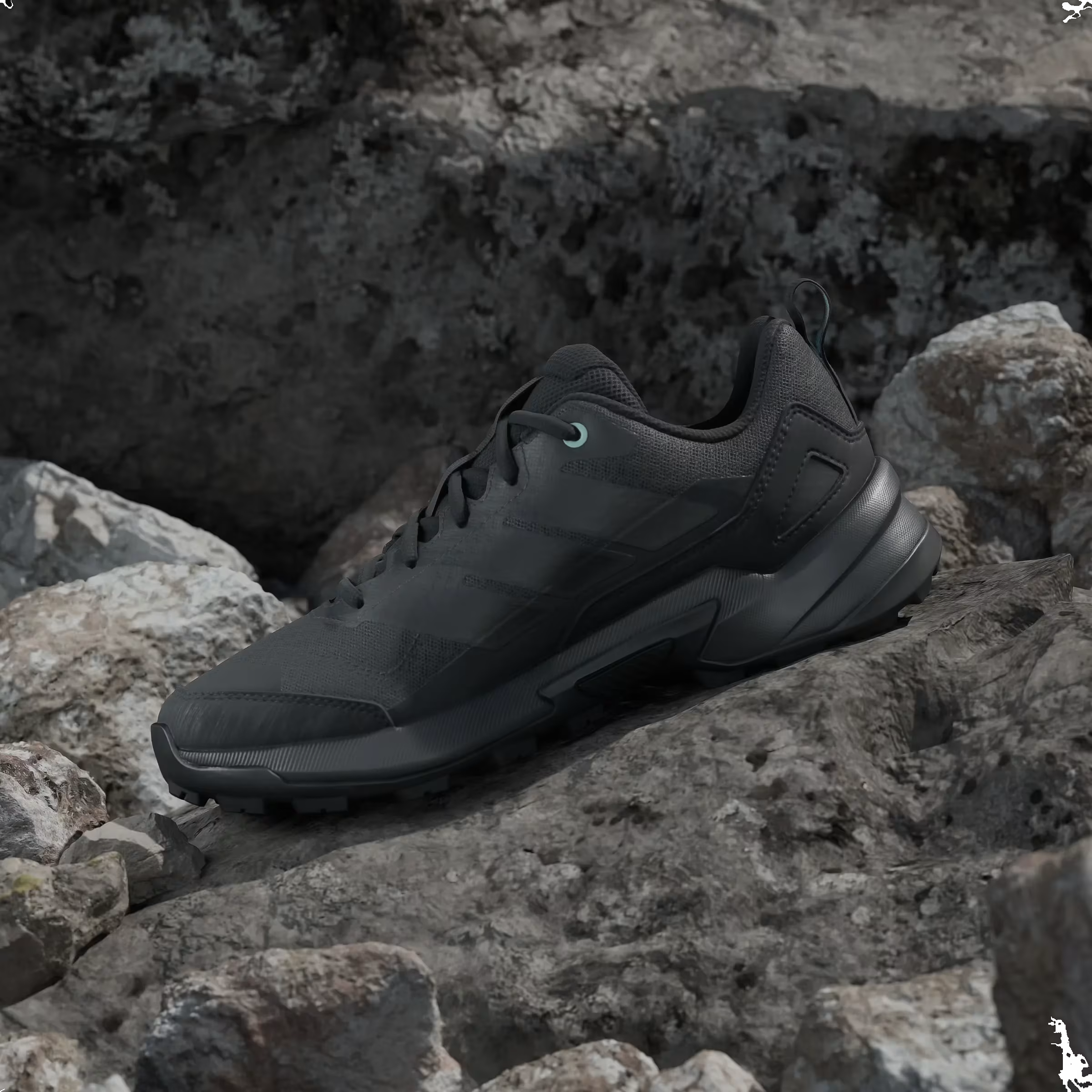 adidas TERREX EAS 3 W