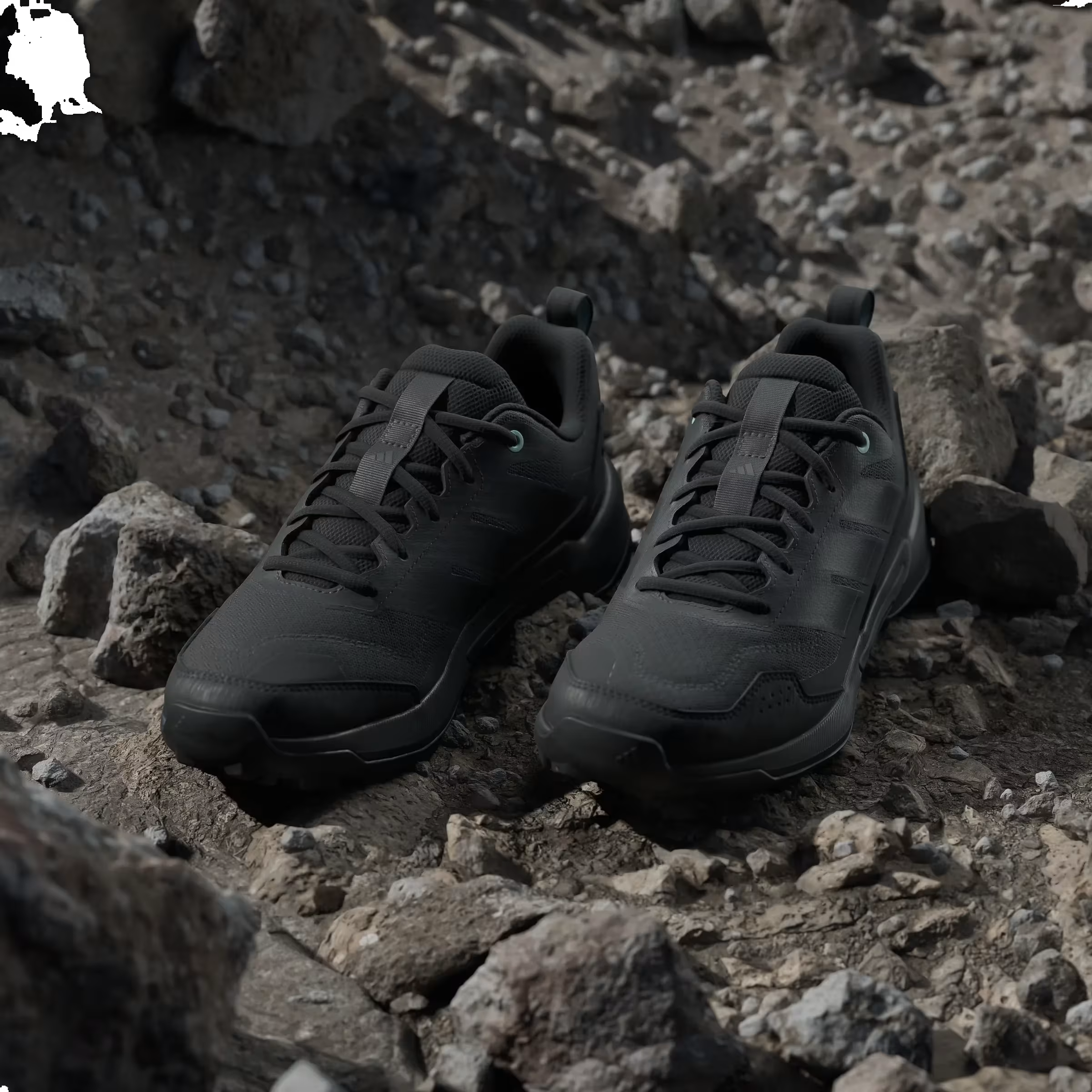 adidas TERREX EAS 3 W