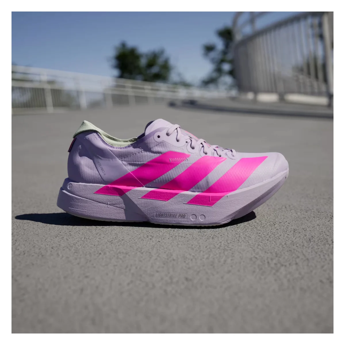 adidas Adizero Adios Pro 4 Powder Plum Pink (Women's)