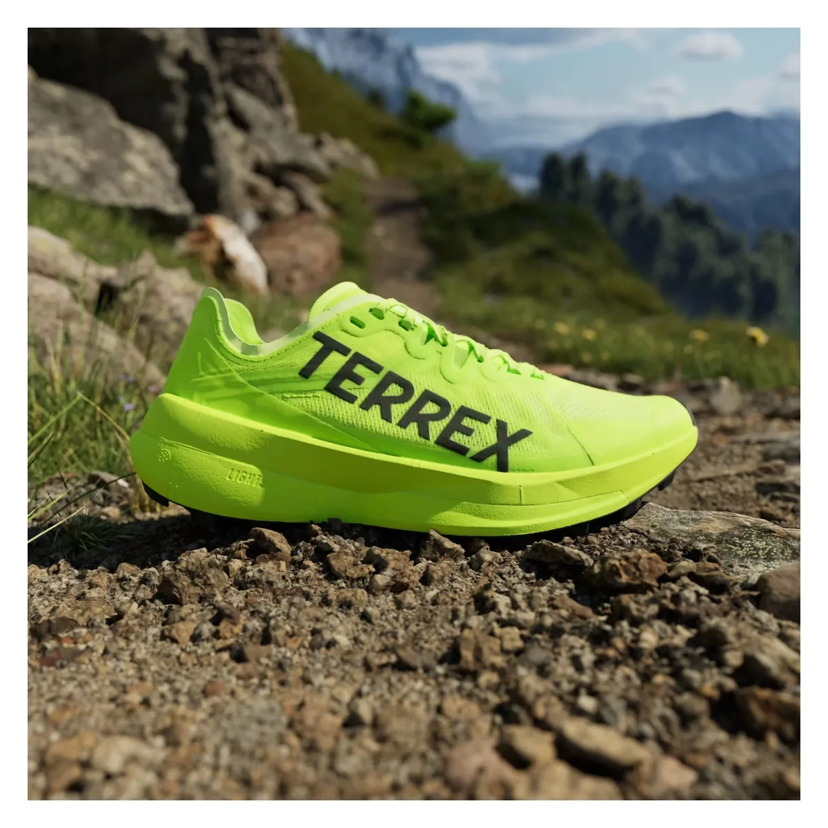 adidas Terrex Agravic Speed Trail Lucid Lemon Core Black Dash Grey (Women's)