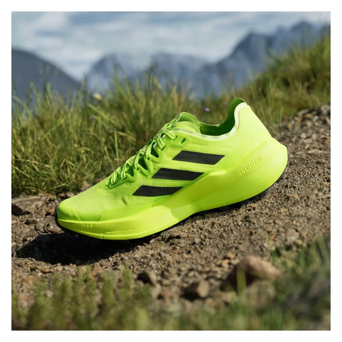adidas Terrex Agravic Speed Trail Lucid Lemon Core Black Dash Grey (Women's)