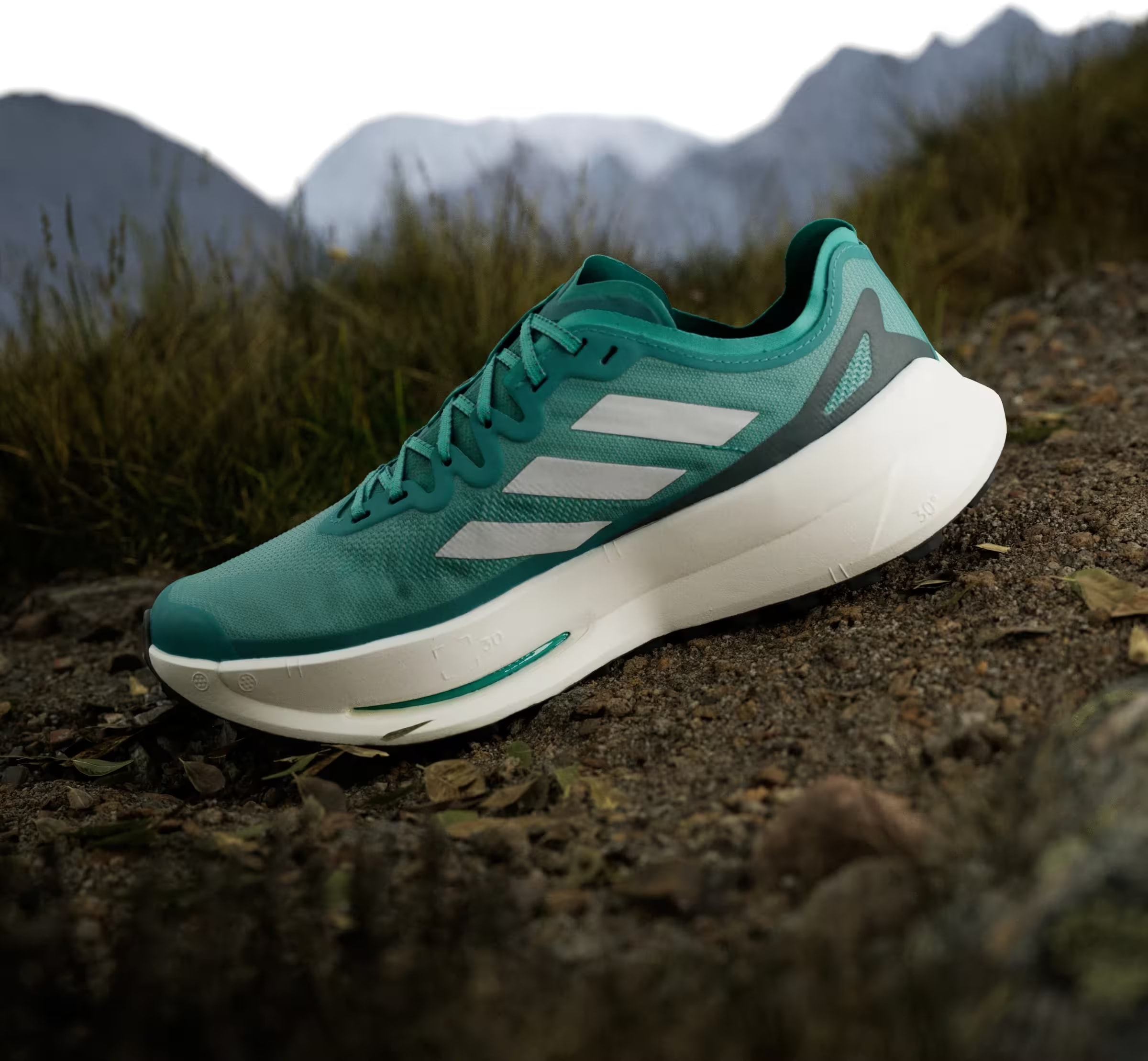 adidas Terrex Agravic Speed Ultra Trail Pure Teal Grey One Aurora Ivy