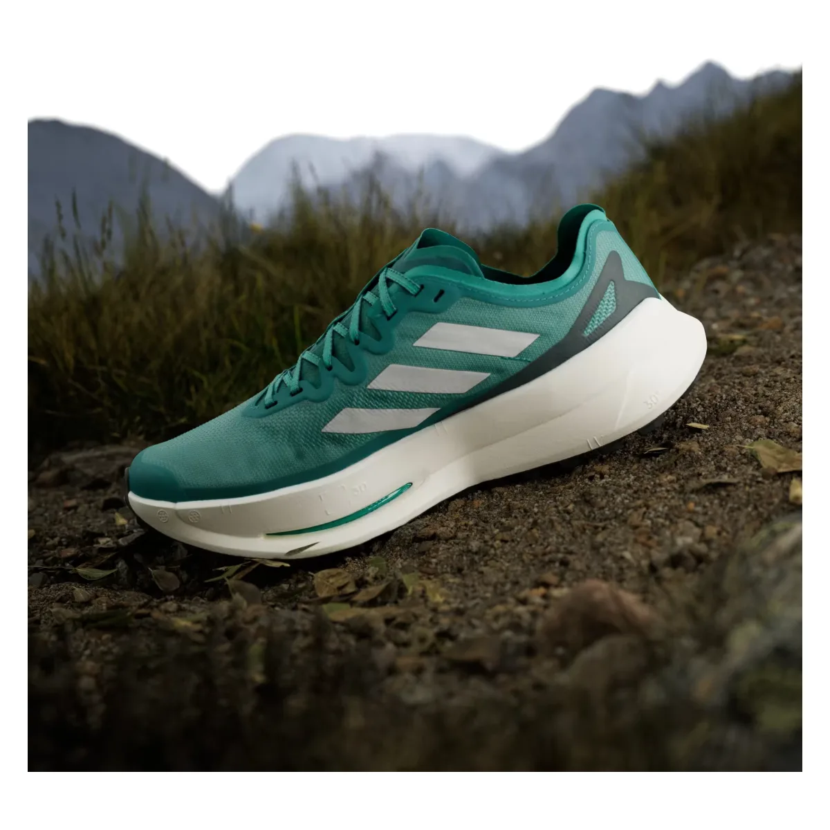adidas Terrex Agravic Speed Ultra Trail Pure Teal Grey One Aurora Ivy