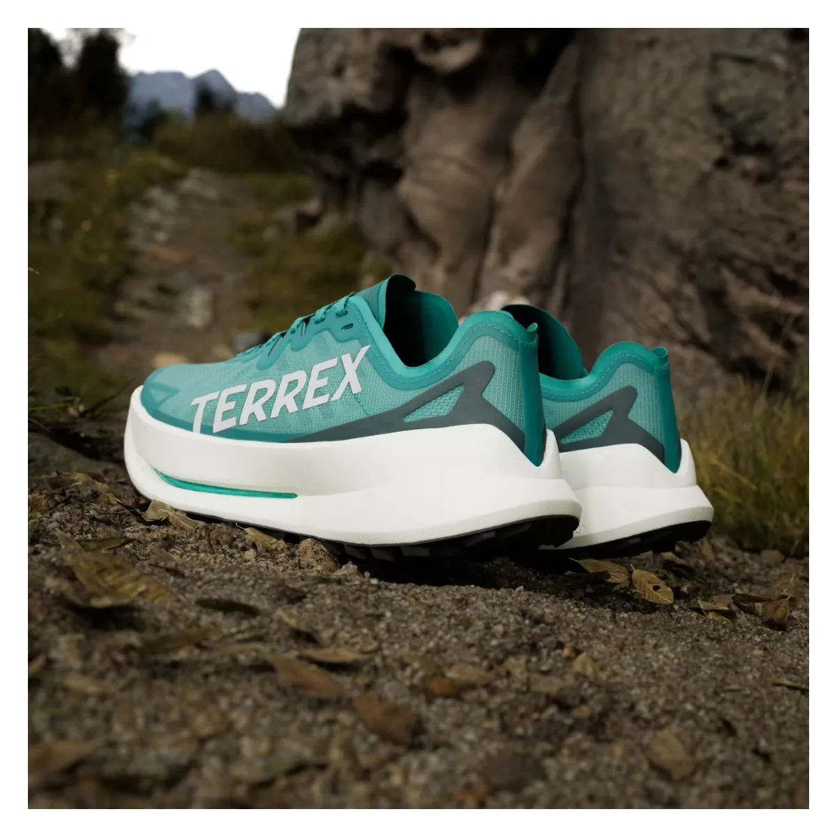adidas Terrex Agravic Speed Ultra Trail Pure Teal Grey One Aurora Ivy