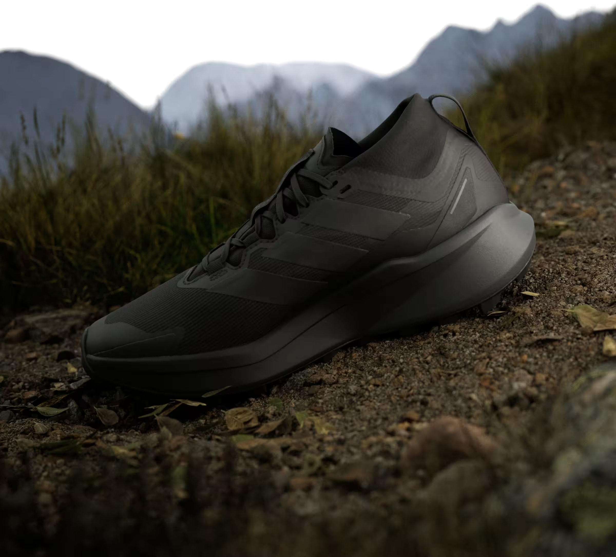 adidas Terrex Agravic Gore-Tex Trail Core Black Grey Six