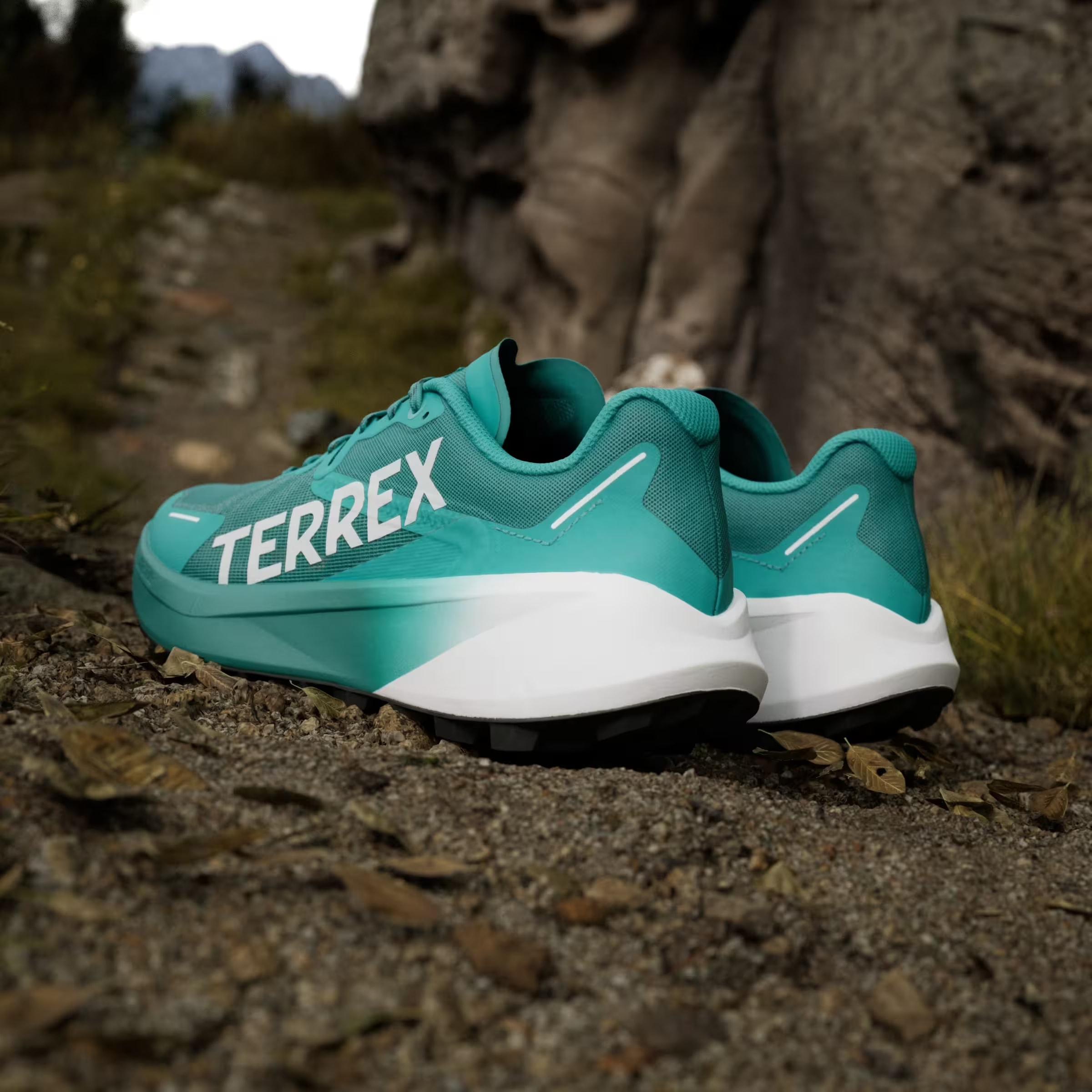 adidas Terrex Agravic 3 Trail Pure Teal Dash Grey Core Black
